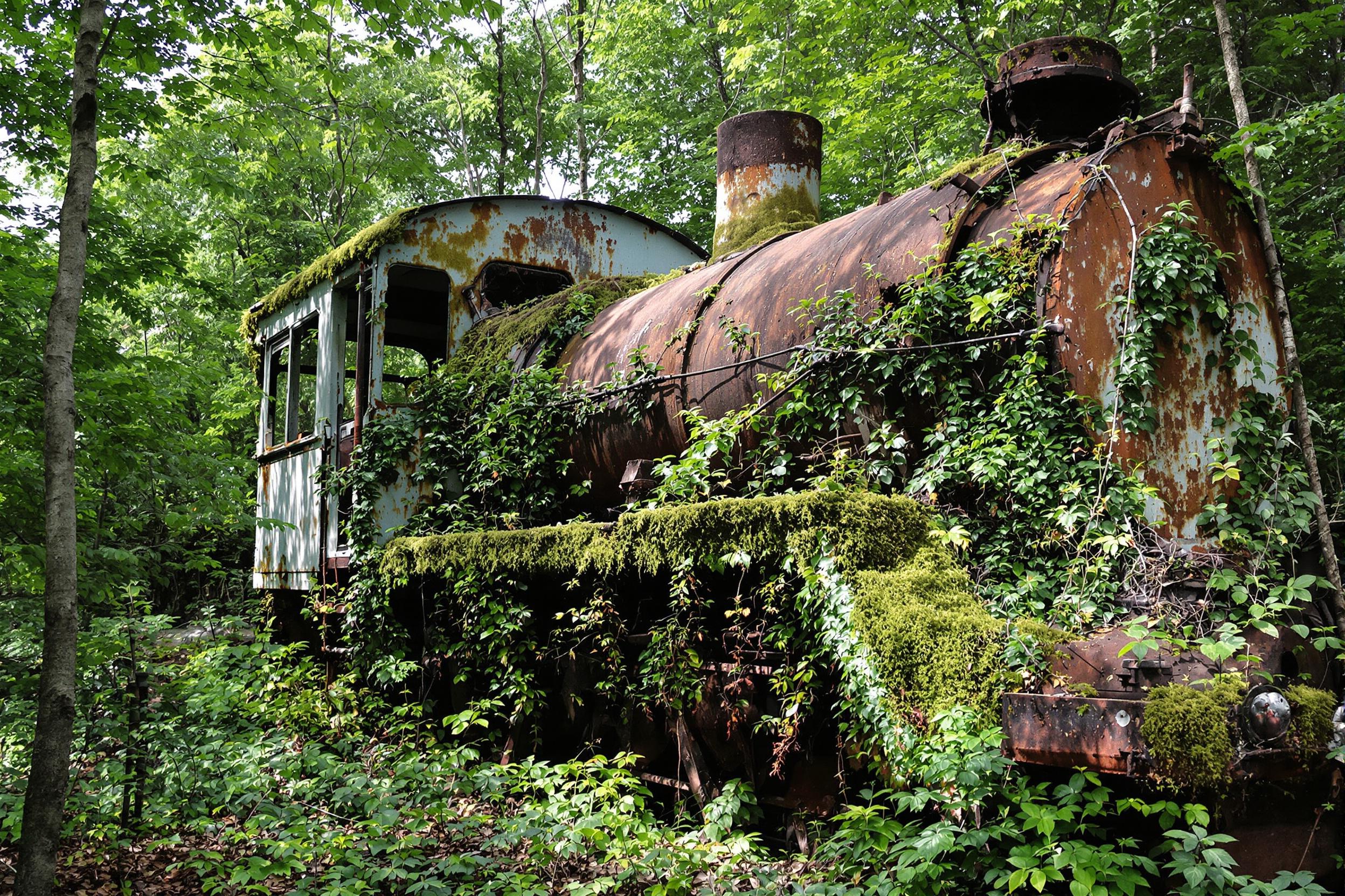 Nestled in the heart of a dense tropical jungle, an abandoned locomotive succumbs to nature's reclaiming grip. Rust spreads across its weathered surface, intersected by creeping ivy and moss-covered sections. Dappled late afternoon light filters through thick foliage, accentuating layers of green and the unique interplay of decay and renewal.