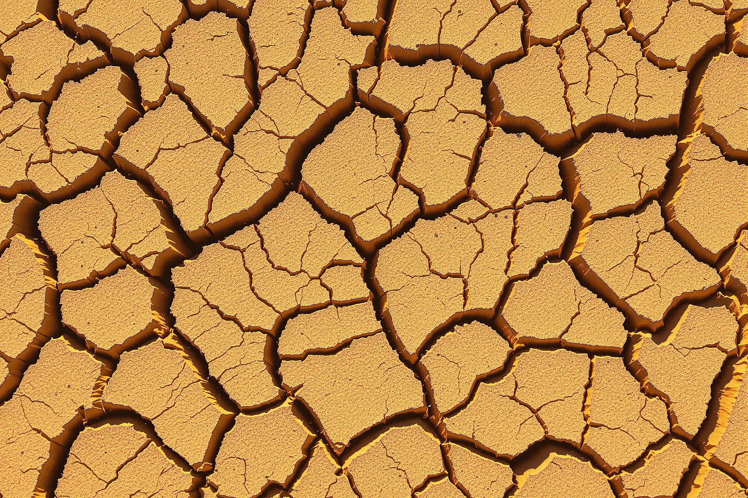 A top-down view reveals the fractured surface of drought-stricken land, etched with intricate, abstract patterns of cracked earth. Highlighted by harsh midday sunlight, the jagged lines cast dynamic shadows, emphasizing their textured depth. Sandy tans and burnt orange tones enhance the arid, sun-scorched aesthetic.