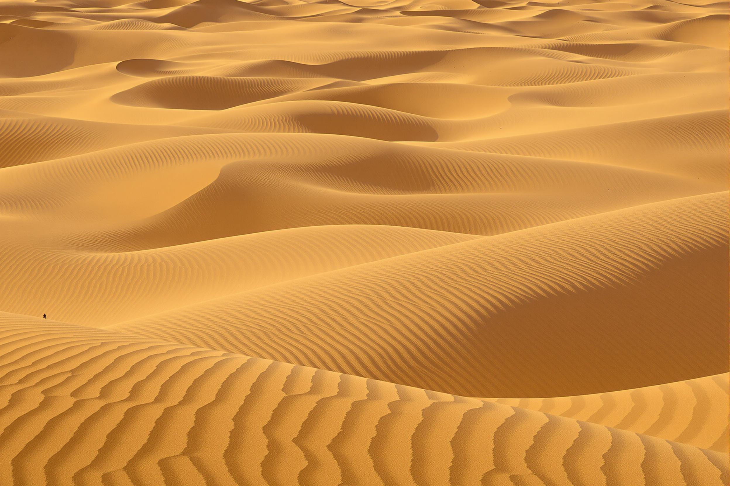 Explore the mesmerizing interplay of light and shadow in this abstract photograph of wind-sculpted sand dunes. Gentle curves and sharp ridges create a hypnotic landscape of organic patterns, showcasing nature's artistic prowess.