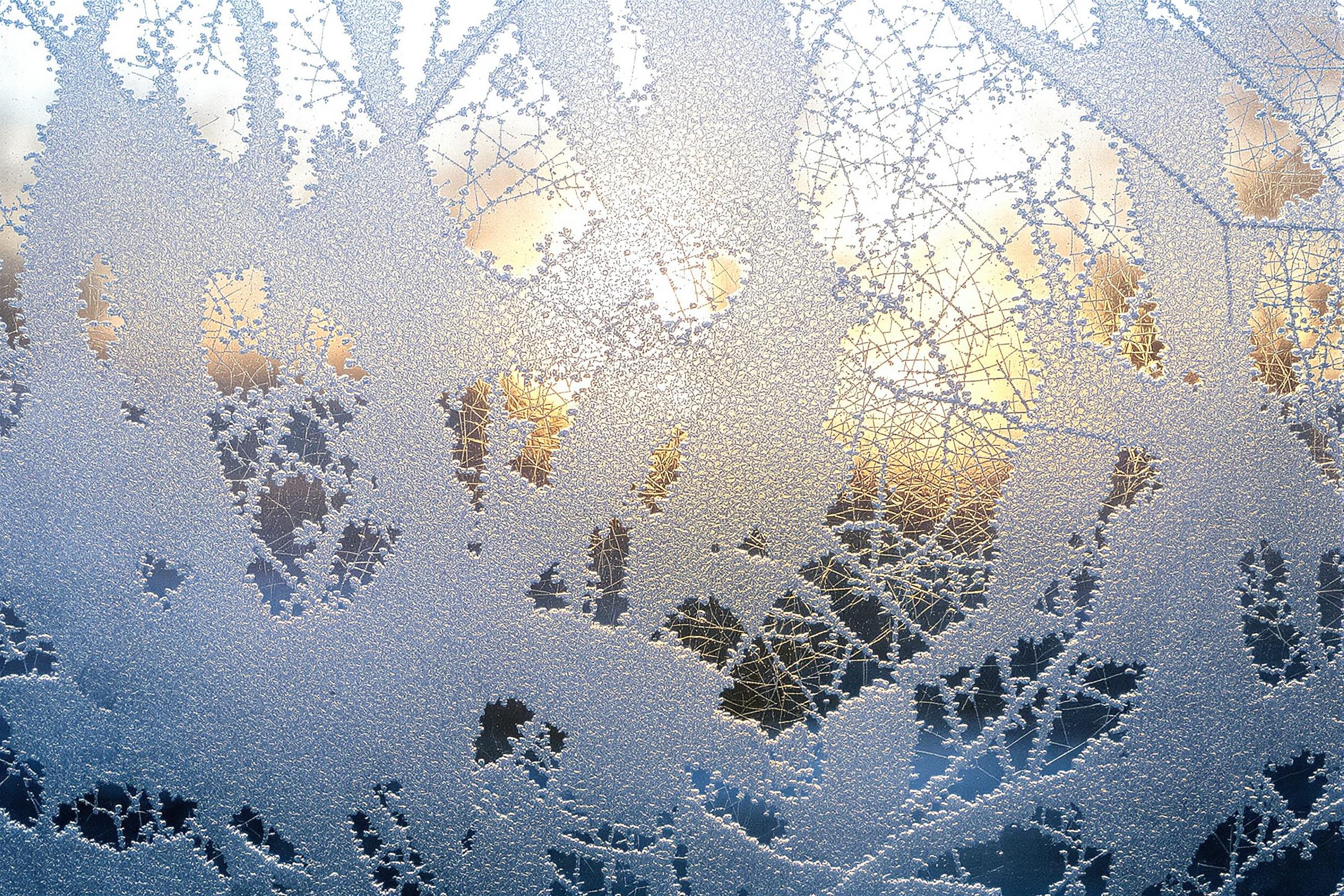 Delicate frost crystals form intricate patterns on a windowpane, creating a stunning natural abstract composition. Backlit by soft morning light, the icy formations reveal a mesmerizing interplay of geometry and organic shapes, showcasing winter's ephemeral beauty.