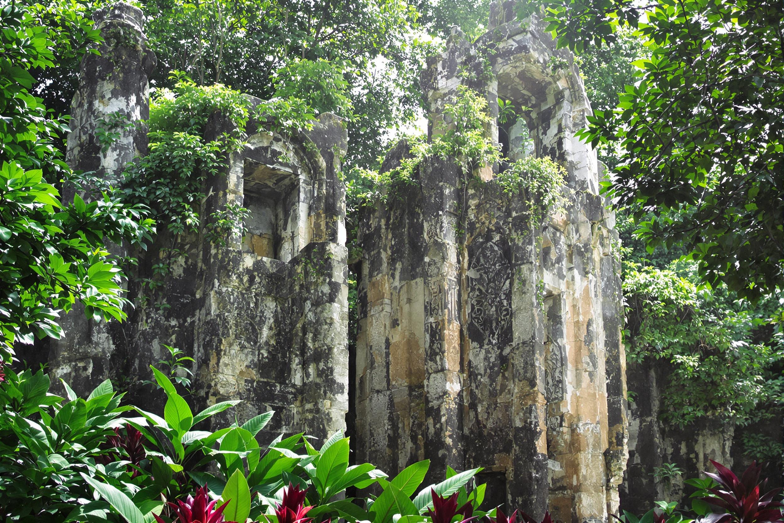 Ancient stone ruins rise majestically from a dense jungle, shrouded in green foliage. Intricate carvings adorn the weathered surfaces, telling forgotten stories. Morning light filters through the canopy, creating a patchwork of shadows and illumination. Vibrant tropical plants frame the structures, enhancing the sense of discovery in this secluded paradise.