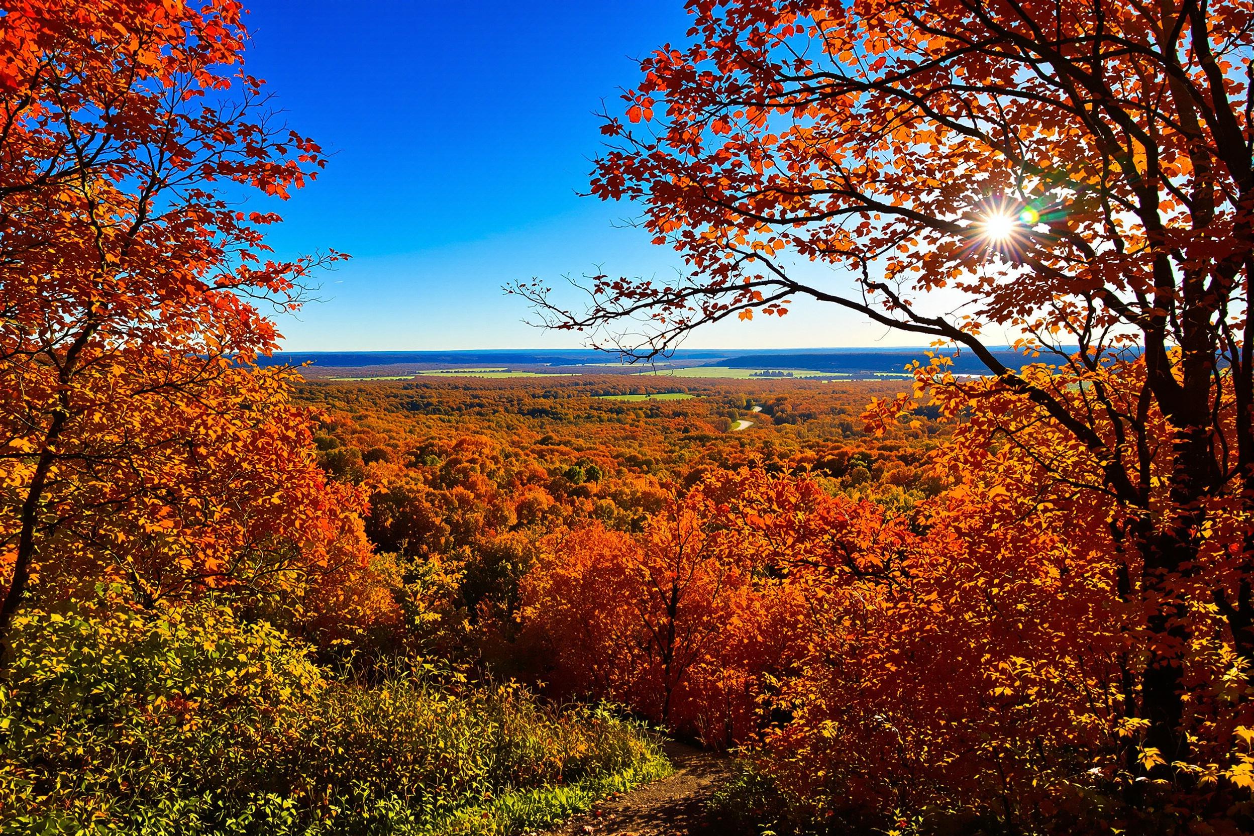 A breathtaking autumn landscape unfolds from a scenic overlook. The trees are ablaze with fiery shades of orange, red, and yellow, creating a stunning contrast against the deepening blue sky. Gentle sunlight filters through the branches, illuminating the leaves and casting warm glows over the vibrant foliage. A winding path invites viewers deeper into the captivating scenery.