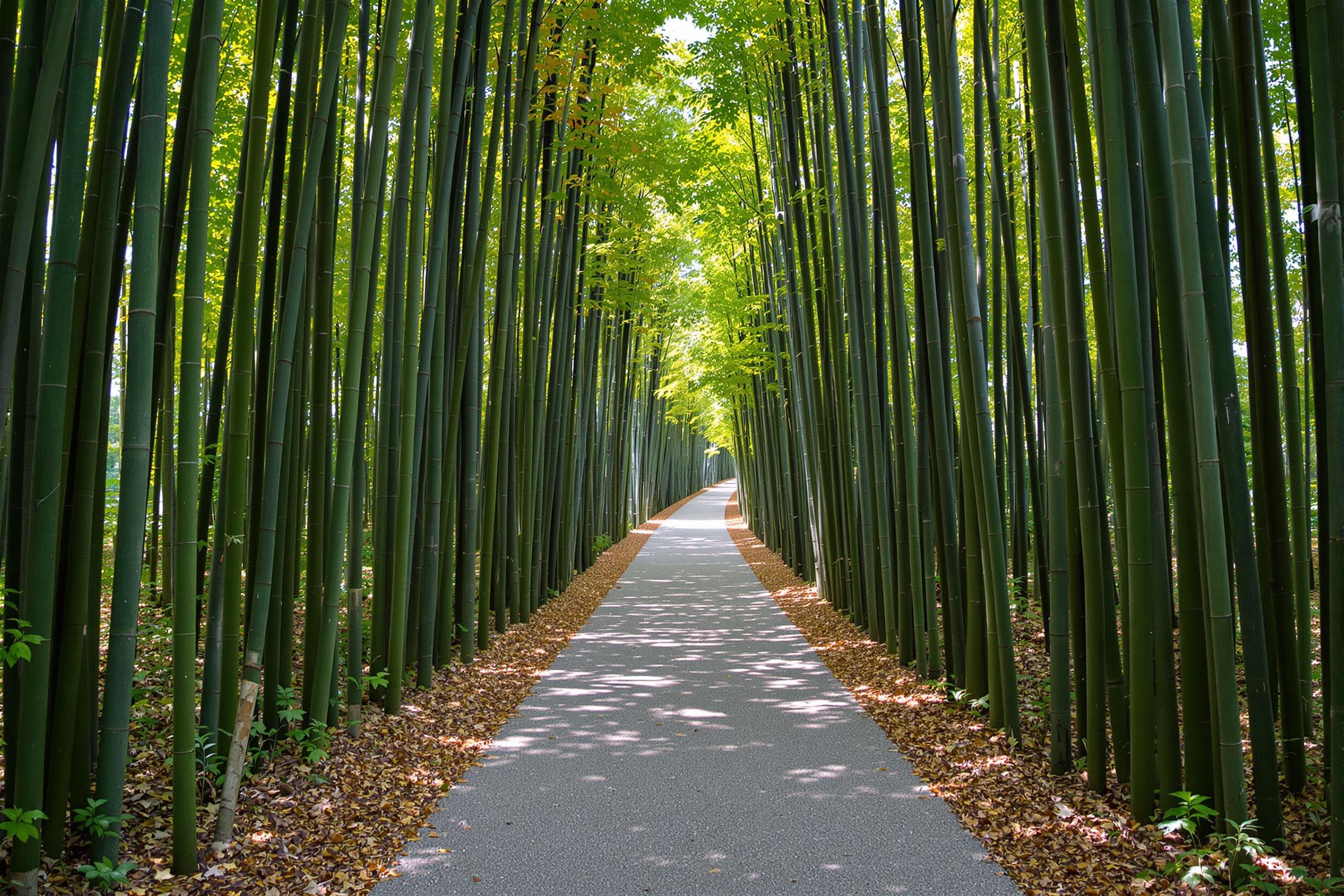 A tranquil forest path stretches through a dense grove of towering green bamboo. Tall stalks align vertically, creating rhythmic patterns as sunlight filters softly through narrow gaps, casting long, crisscrossed shadows. The gravel path invites viewers inward while subtle orange accents adorn the fallen foliage contrasting verdantly light-reflecting hues.