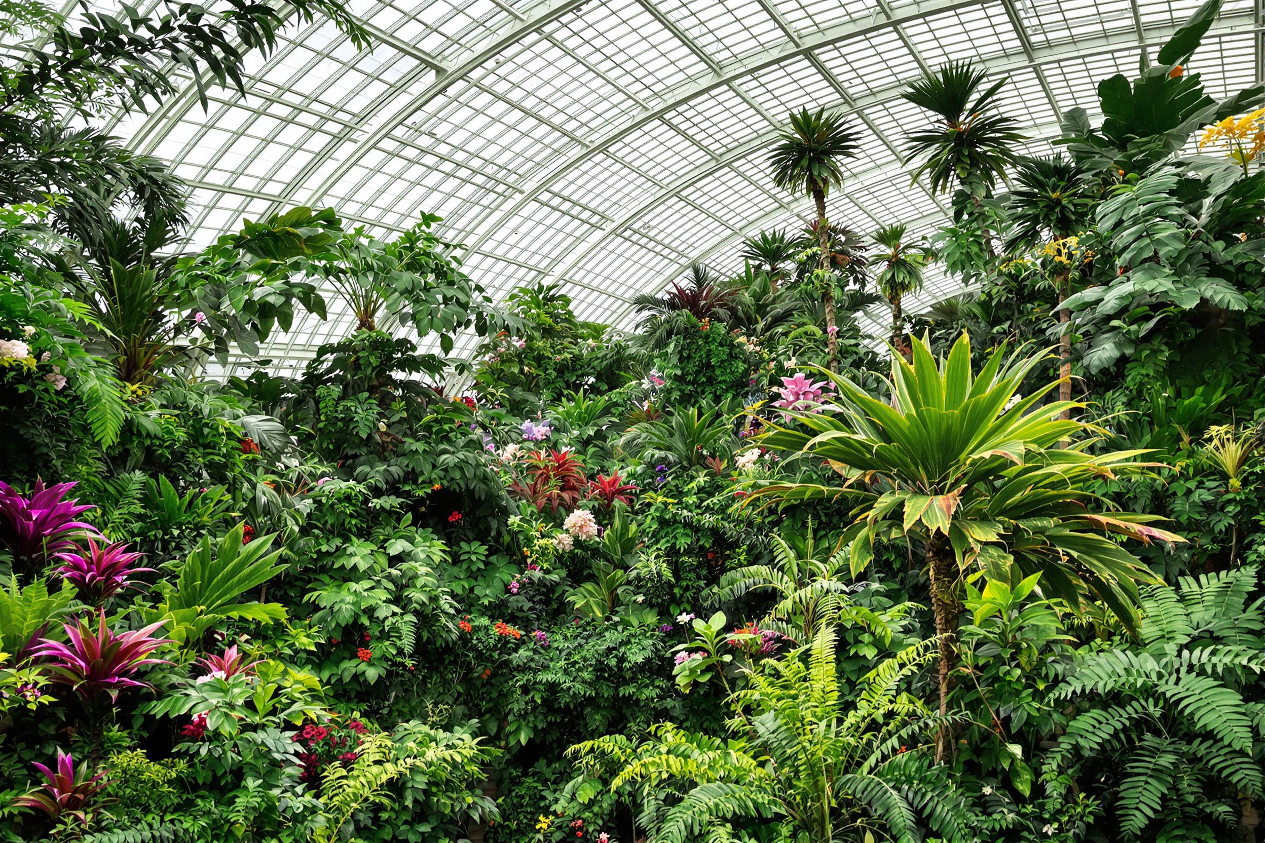 A stunning indoor botanical garden features a diverse array of tropical plants beneath a glass dome. Sunlight filters through the translucent panels, casting delicate shadows on the paved paths. Lush greens dominate the scene, accented by bursts of colorful flowers, while ferns and palms create a layered texture in the background, inviting exploration.