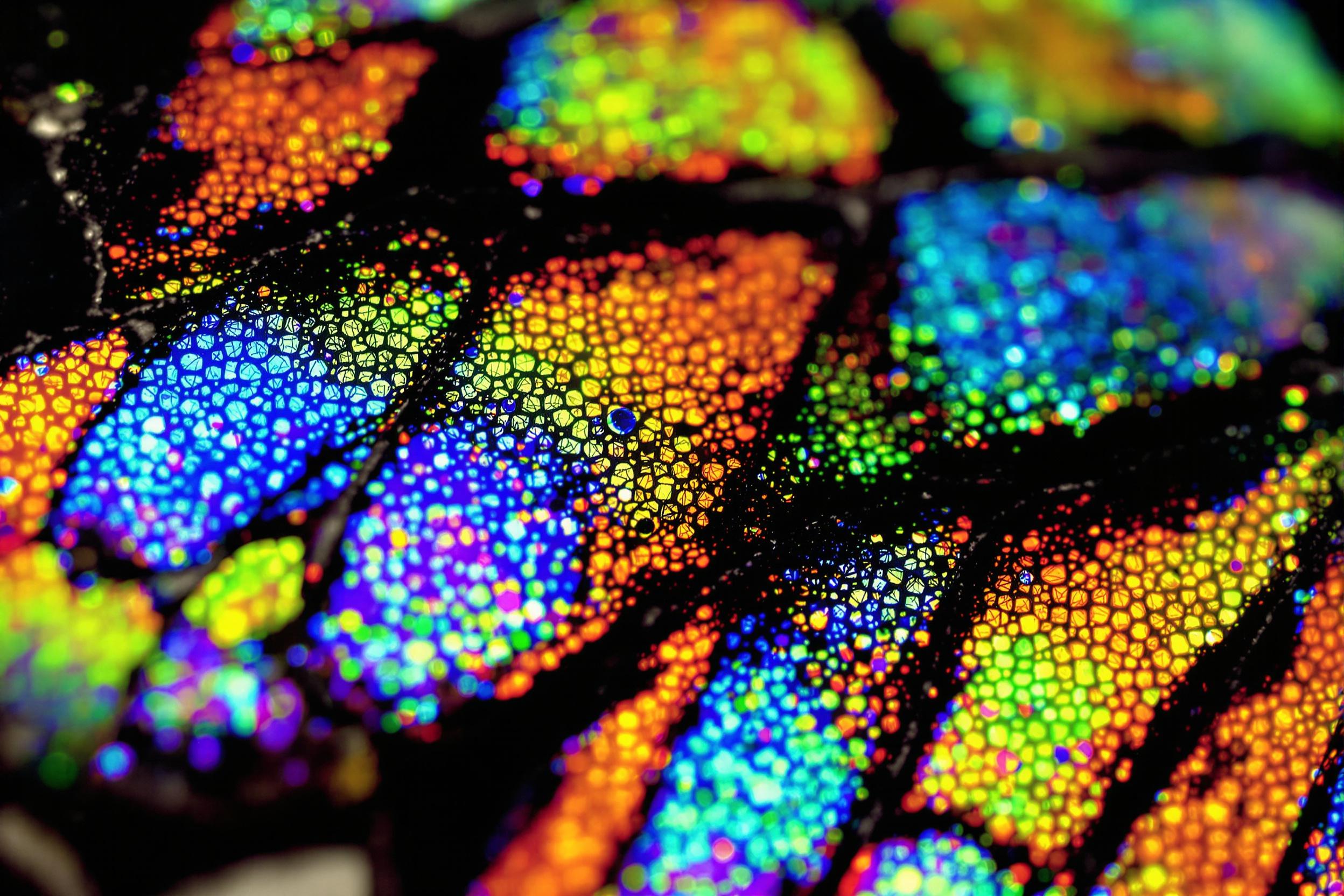 An extreme close-up reveals the enchanting details of butterfly wings, showcasing vibrant hues of iridescent blue and orange. Each tiny scale reflects light, creating a shimmering effect against a softly blurred neutral background. The patterns are intricately designed, resembling miniature stained glass, emphasizing the delicate beauty inherent in nature's creations.