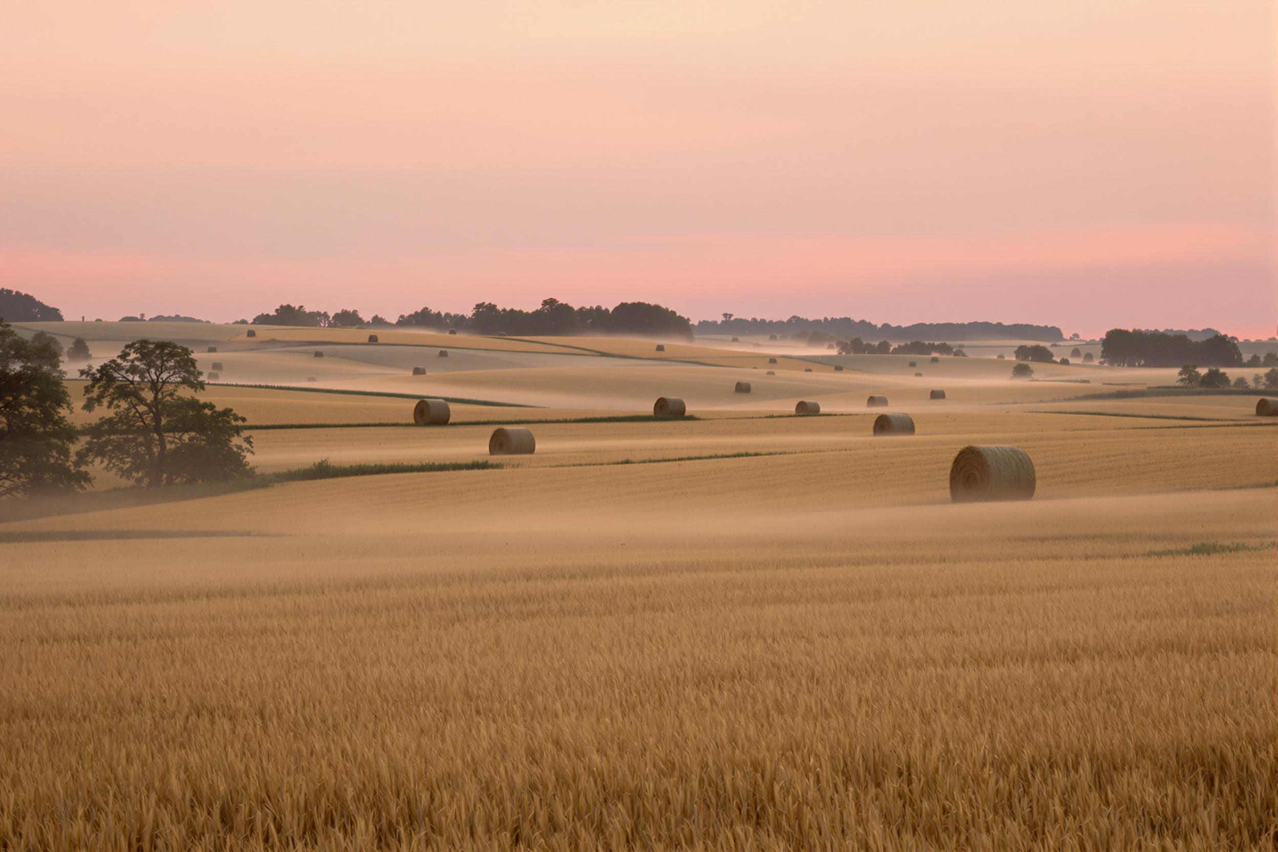 A tranquil farm landscape stretches under the soft hues of dawn. Mist rolls quietly across golden fields, partially obscuring rows of crops that emerge like whispers. The horizon glows with pastel shades of pink and orange as the first light of daybreak spreads. Nearby, silhouette shapes of scattered haystacks add interest, inviting peaceful contemplation amidst nature’s awakening.