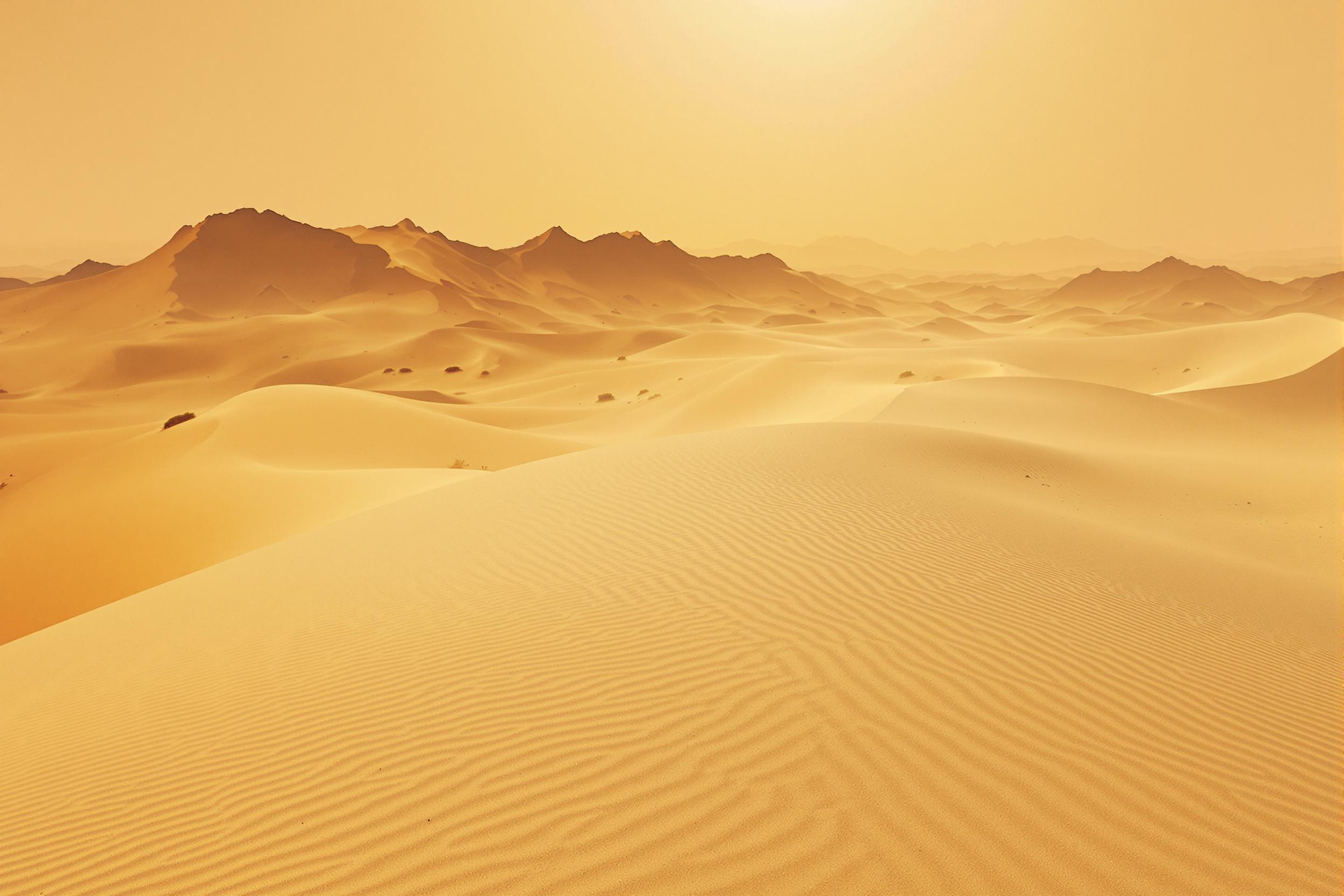 An expansive desert spreads out as a faint sandstorm veils its rolling dunes. Hues transition from rich amber near jagged peaks to pale tan in sunlit troughs. Wispy gusts trail fine grains into surreal swirling patterns as silhouettes of sparse shrubs anchor realism in a hazy distance, hinting at raw isolation's beauty.