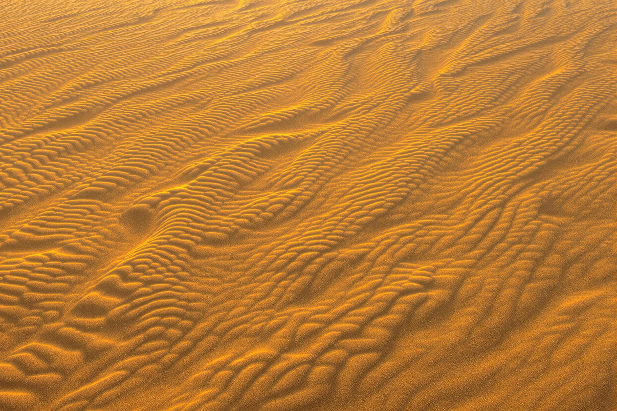 From an aerial perspective, a vast expanse of sandy terrain is revealed, its surface adorned with undulating, wind-sculpted ripples. The setting sun casts elongated shadows that define each wave-like ridge, highlighting the transition between glowing golden hues and the interplay of deeper shadows across granulated textures.