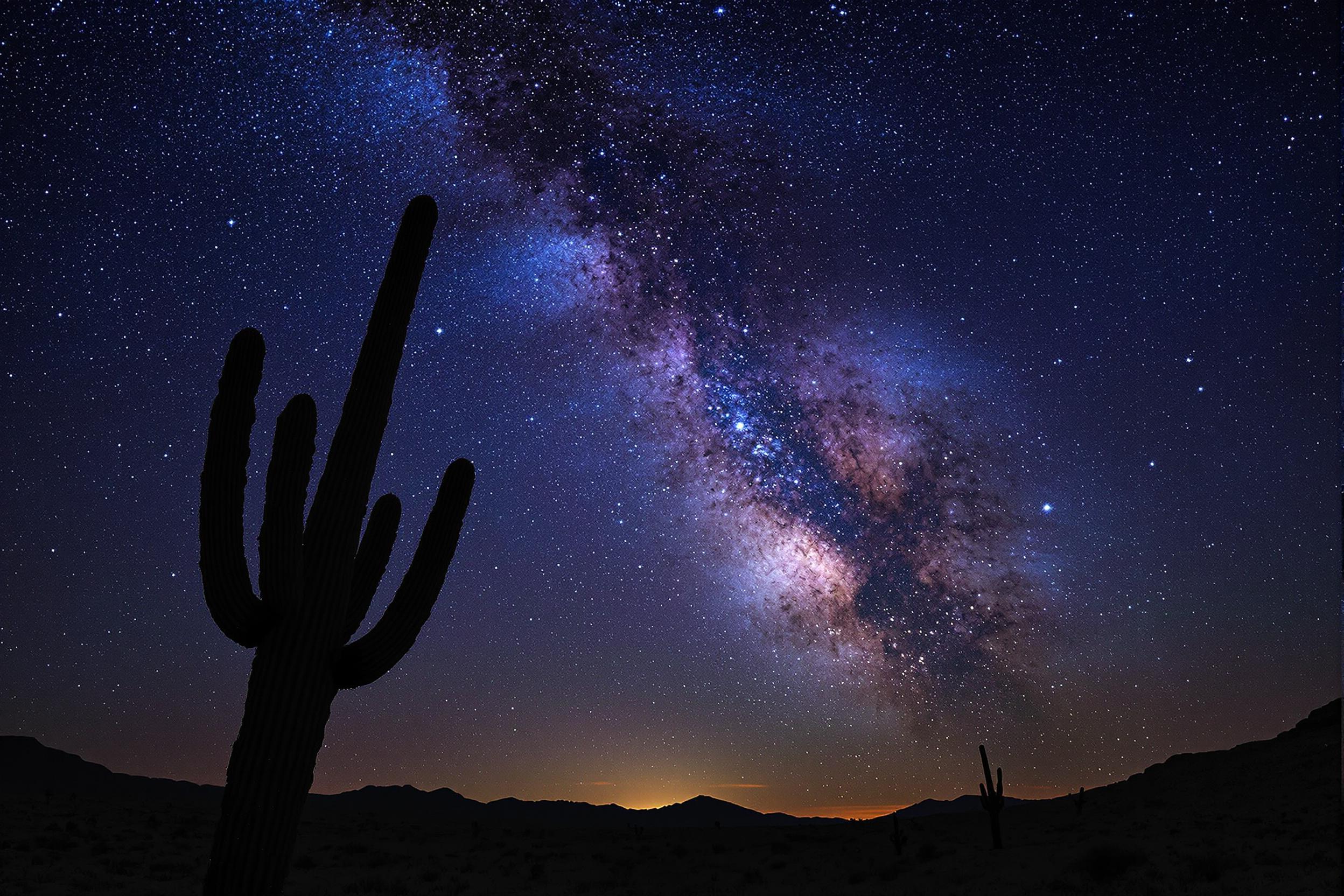 A dramatic nighttime desert scene captures a towering saguaro cactus silhouetted against the celestial spectacle of the Milky Way. Rich indigo and violet hues gradate the sky while clusters of stars shimmer brightly. An expansive low horizon emphasizes the vastness and solitude of the arid terrain under natural moonlight.