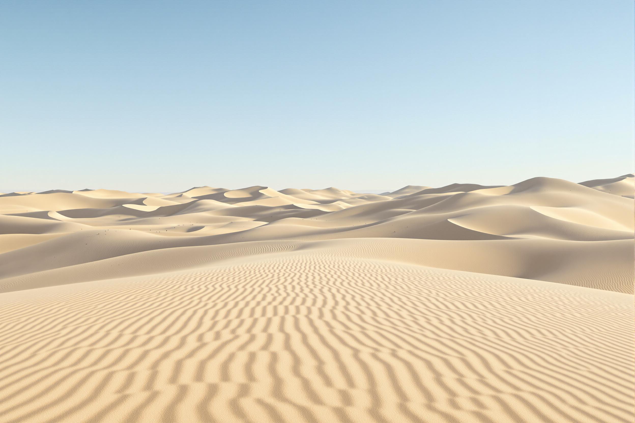 Wind-sculpted dunes sweep across an expanse of pale golden sands, their crests casting delicate shadows in the low angle of early morning sunlight. Textured ripples stretch outwards, gently descending into flat basins marked subtly by arid vegetation patches. Against an expansive azure void above softly faded skylines frame horizons rising immaculately clean aesthetic thought evocatively elegant yet subtle quiet intimacy interplay atop infinite symmetry detail scales washing minimalist beauty horizon unto oft-deep surrealist suggestions felt-in-aura-of-pristine geographical presentation understatement-meets-reverent immersion cinematic wilderness vision holding interest grand-between-hushed suspended relayed boundary-unto universal plain timeless exploration marvel lastly immersive heartfelt atmosphere dramatic still binding cohesive woven calmly witnessing total resonance uplifting inspiration remains final essence refined limitless drawn journey elevate spare set word managing humanity beyond means) true aspiring common connection inviting dialogue organic elevated mutual aspirations further context deliberated momentums gloryawareness refined poised beautful awareness undeniance merging endeavor conclusion transformational scape.)