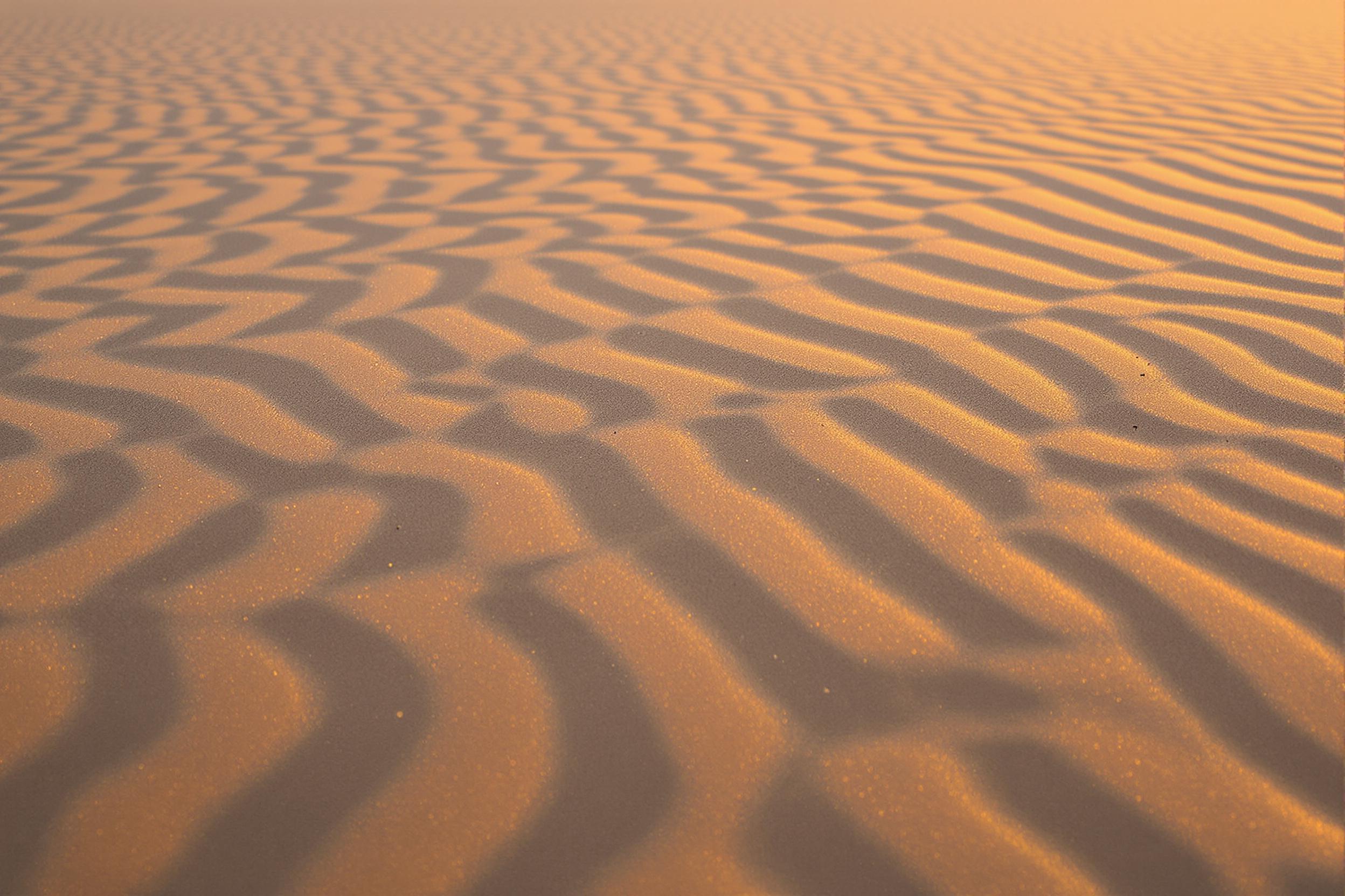 A close-up view captures the artistry of rippled desert sand patterns, illuminated by soft golden-hour light. Shadows cascade gently along the intricately curved edges, creating a flowing wave effect across the textured surface. Each ripple, delicately carved by wind, reflects subtle tones of amber and bronze under the warm sunset.