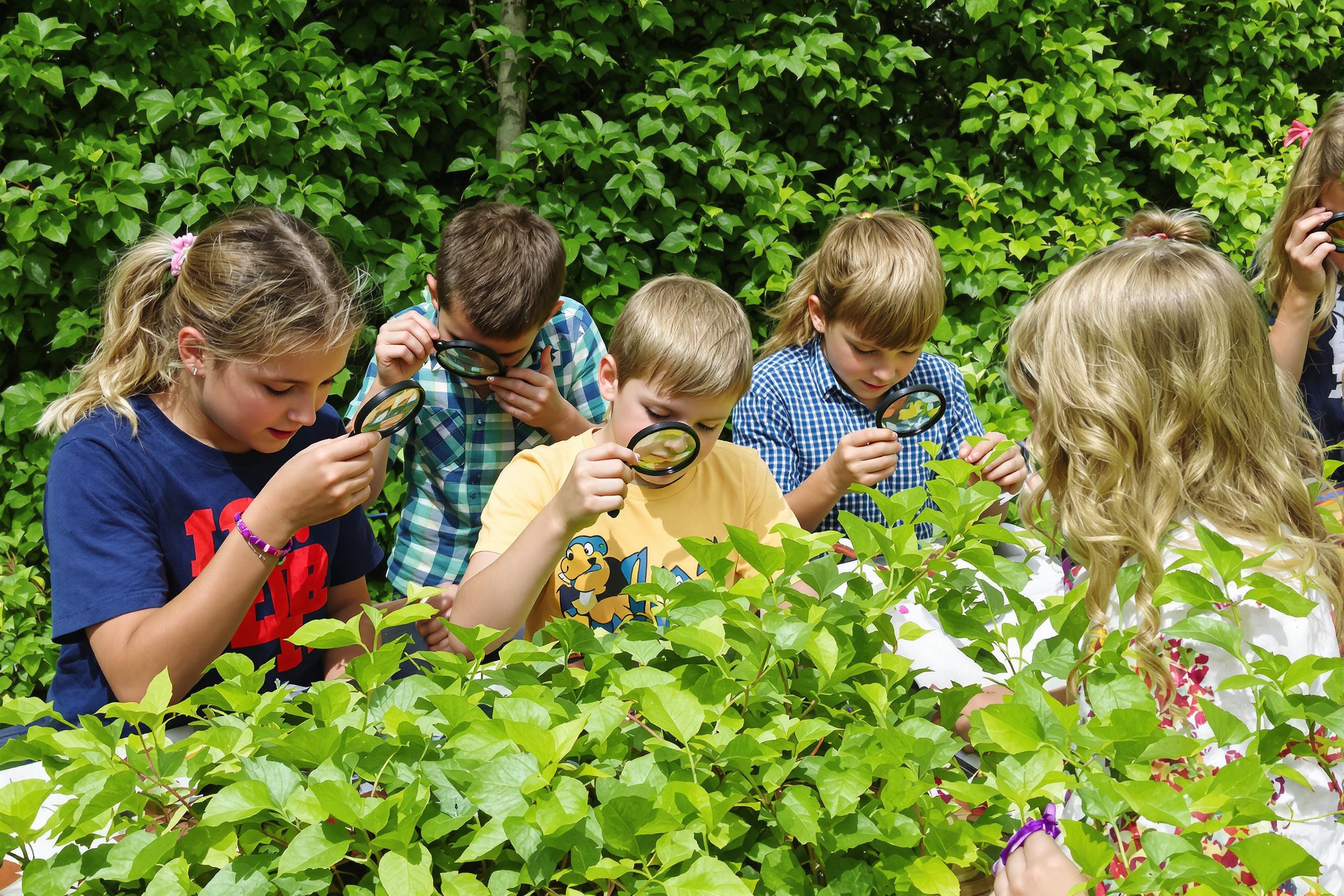 Elementary school children participate in an outdoor classroom, examining leaves and insects with magnifying glasses. The lush green setting emphasizes the connection between education and nature.