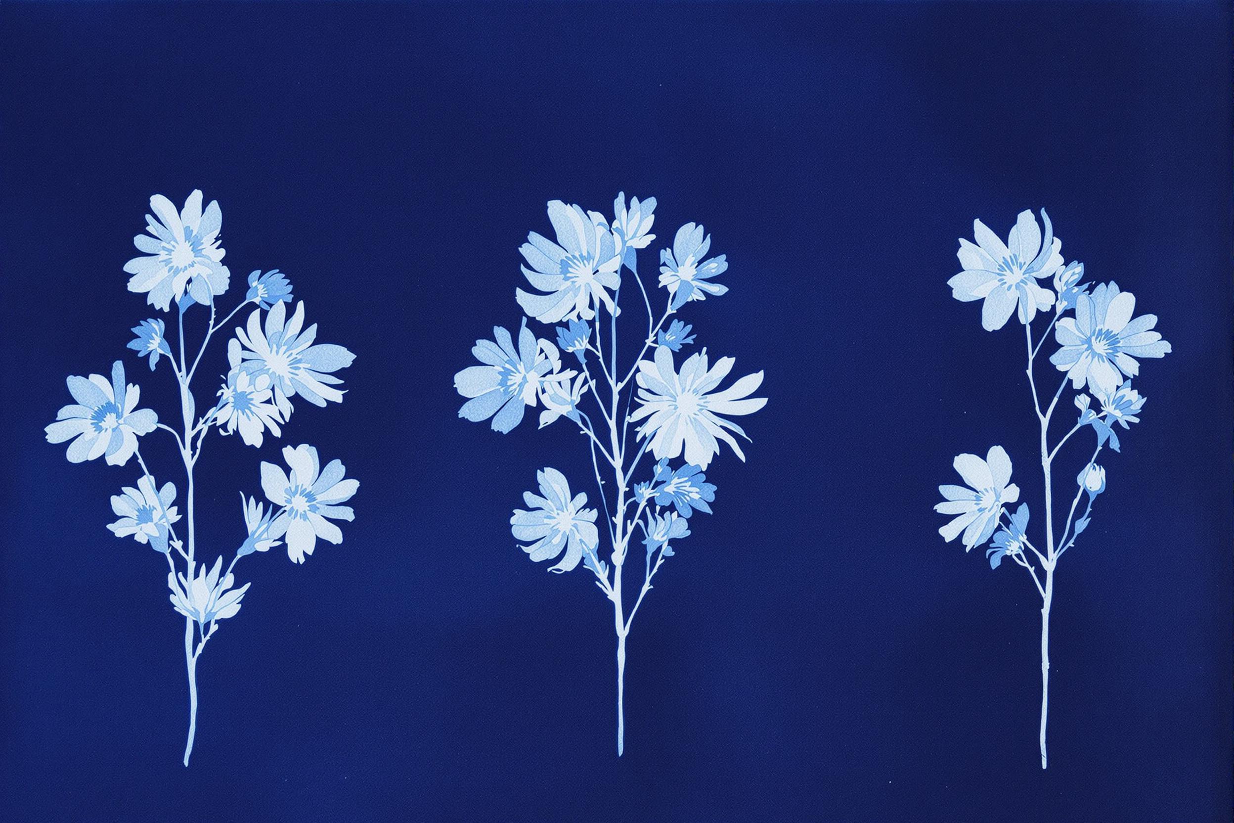 Discover the ethereal beauty of experimental cyanotype photography. Delicate botanical specimens create ghostly white silhouettes against a deep Prussian blue background on handmade, textured paper, merging traditional and modern techniques.