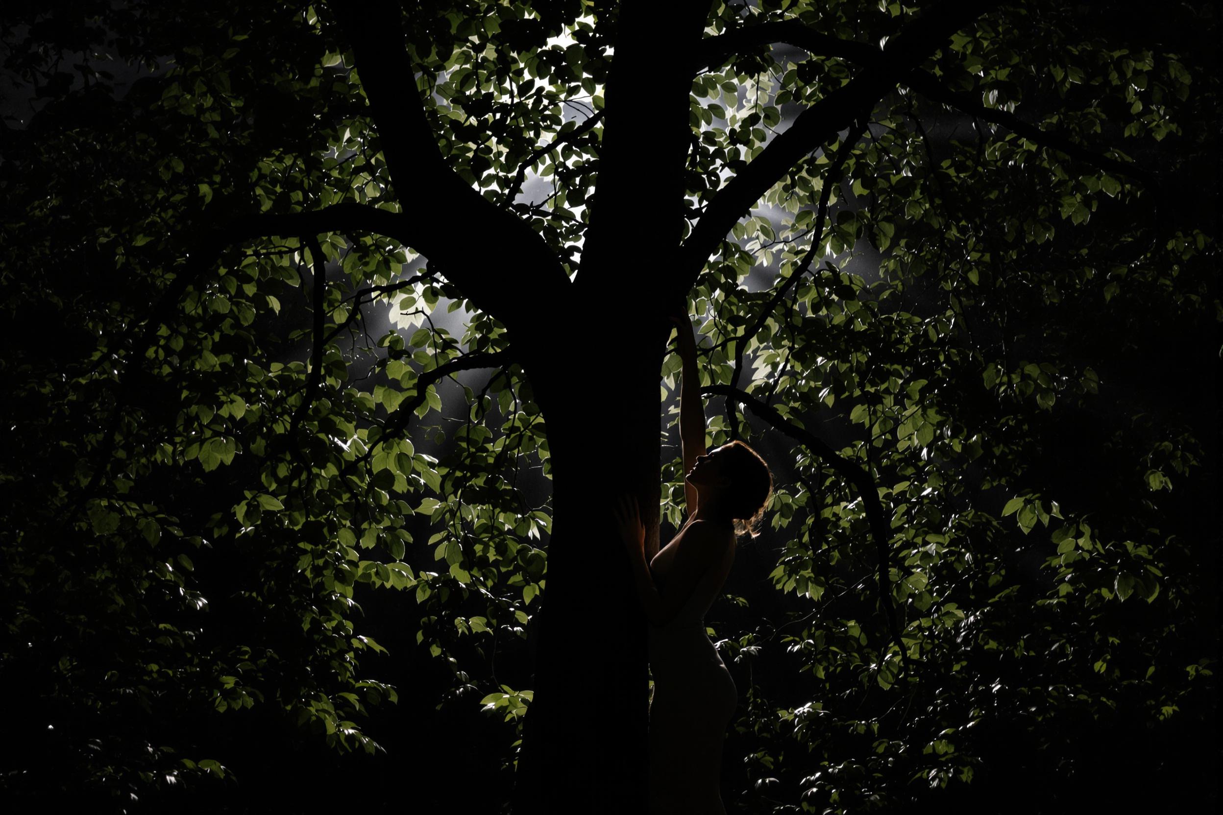 Experience the healing power of nature at night with forest bathing under a full moon. A serene figure embraces a tree, bathed in soft moonlight filtering through misty branches, showcasing the intersection of wellness practices and nocturnal nature therapy.