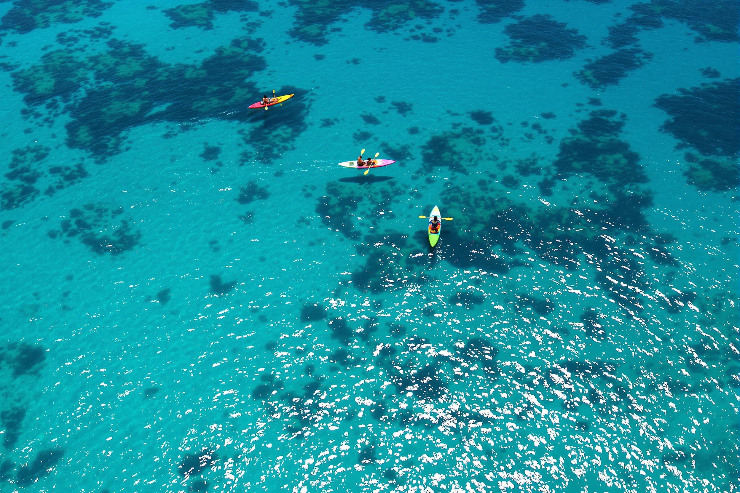 Three kayakers paddle through crystal-clear turquoise waters in a tropical bay, captured from above. Their colorful boats cut across the shimmering surface, revealing underwater coral formations and marine life. Sunlight dances on the rippling waves, creating intricate patterns that highlight the vivid aquatic hues.