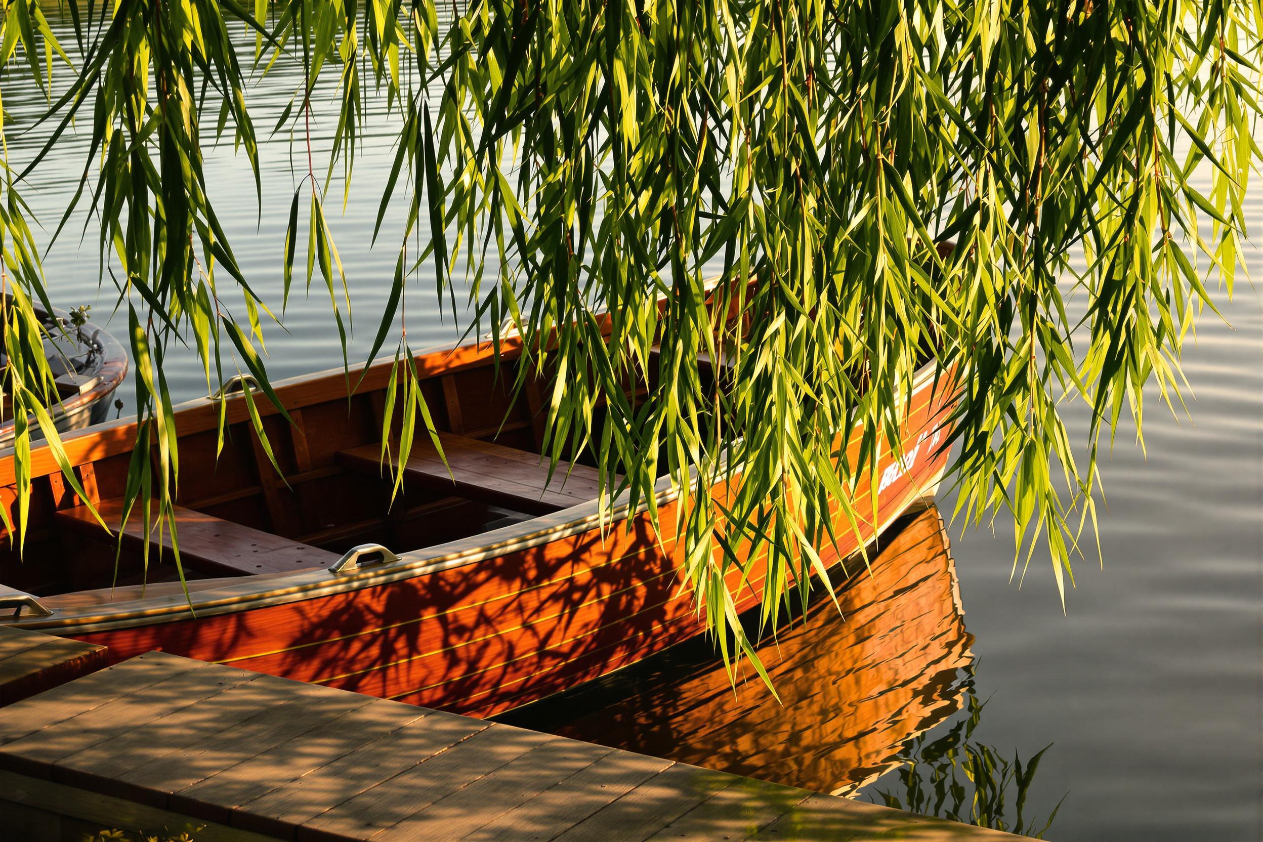 A classic wooden boat rests serenely on a quiet lakeside, partially hidden by overhanging willow branches. The late afternoon sun casts warm light, reflecting off the smooth water surface, creating rhythmic ripples. Rich textures of polished wood contrast beautifully with surrounding lush greenery, inviting peaceful contemplation amid nature's tranquility.