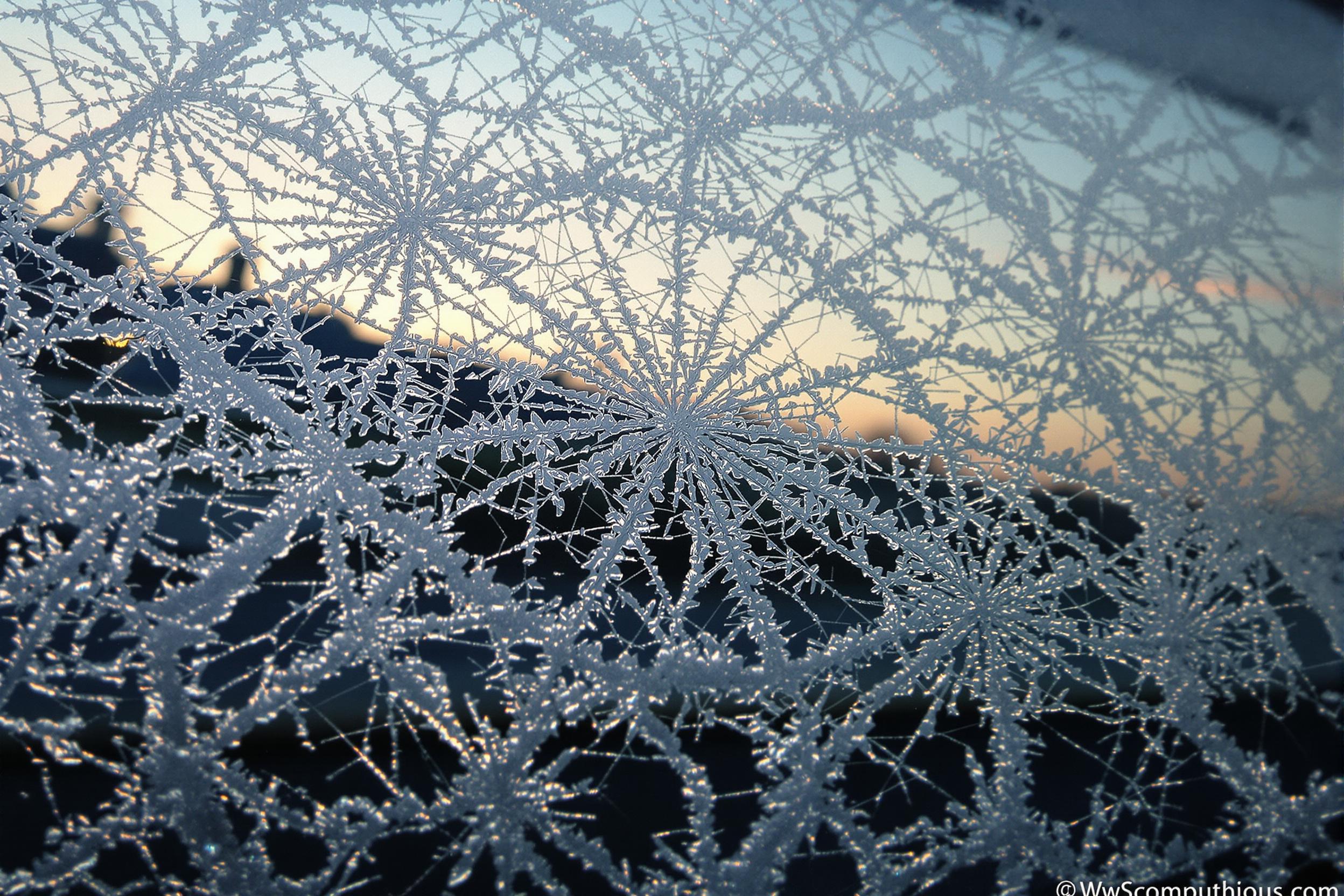 A close-up captures intricate frost patterns etched across a car windshield during dawn's early light. The ice crystals form detailed, lace-like geometry glistening under a subtle mix of cool tones and emerging warm sunlight. Faint silhouettes of suburban rooftops add depth, softly blurred in the background.