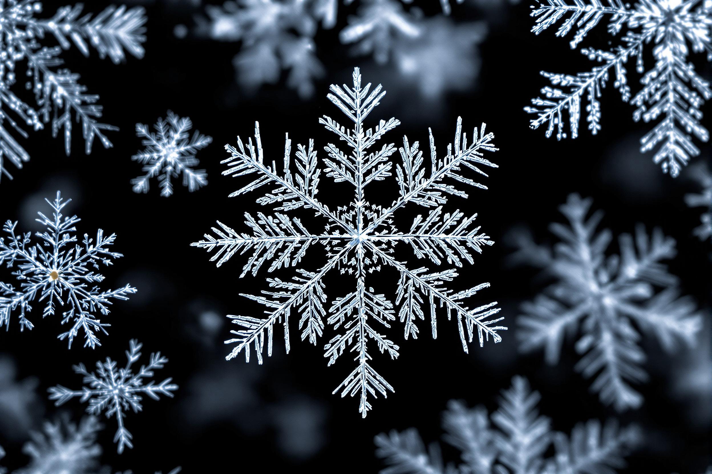 Intricate crystalline formations of snowflakes viewed under a microscope. Each snowflake reveals perfect symmetrical patterns marked by sharp edges and delicate filigree. Soft, cool light highlights the icy textures against a subtle black gradient, emphasizing crisp details throughout.