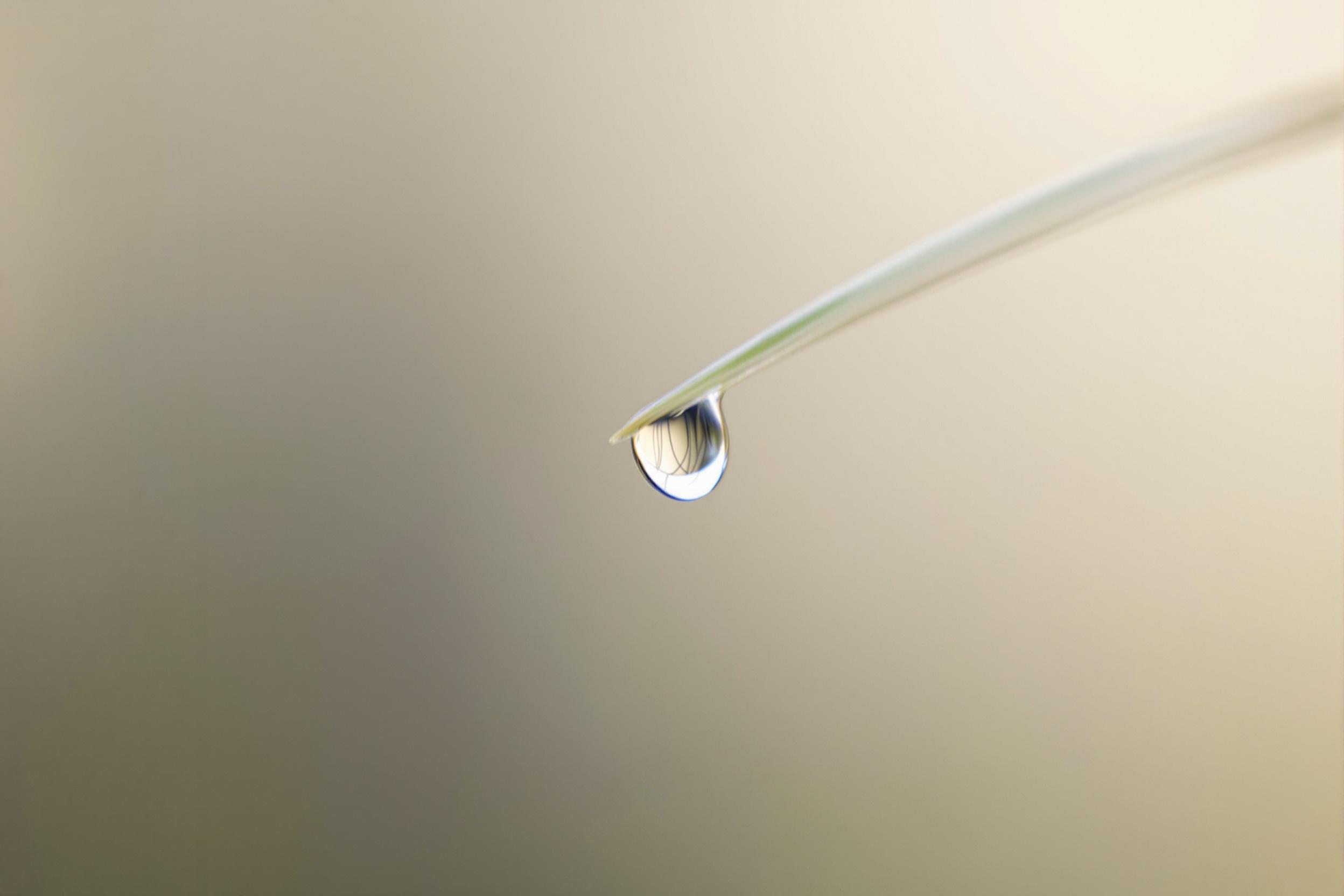 A single, perfectly formed dew drop clings to the tip of a slender blade of grass, capturing the essence of minimalist nature photography. The macro shot reveals the intricate details of the water droplet, refracting light and creating a natural lens effect. Set against a soft, out-of-focus background, the image embodies simplicity, purity, and the delicate beauty of the natural world in its most elemental form. The composition emphasizes negative space, allowing the viewer to focus on the interplay of light, form, and texture in this serene minimalist scene.