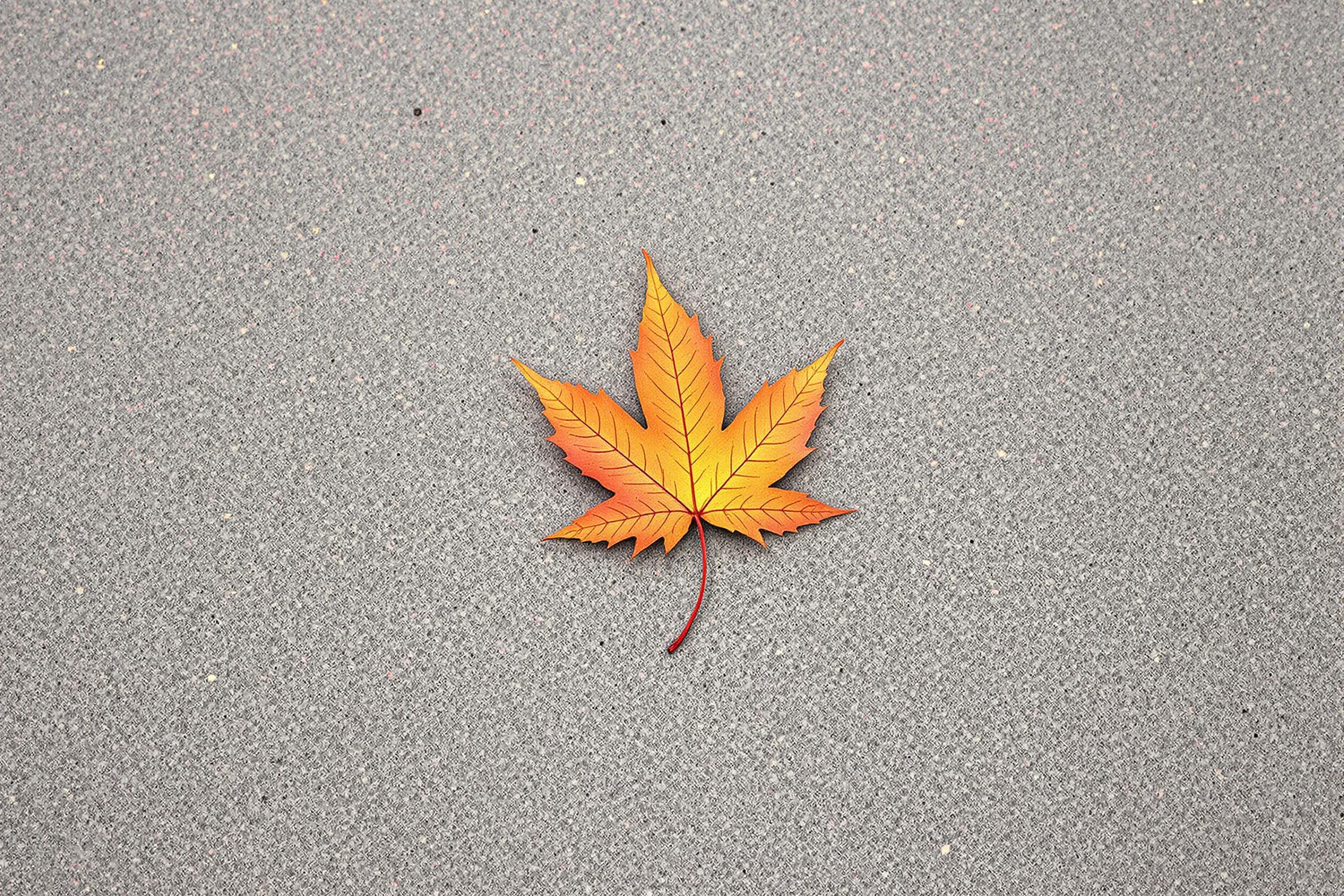 A single, vibrant autumn leaf rests on a smooth concrete surface, creating a striking contrast between organic and man-made elements. This minimalist composition explores the interplay of texture, color, and form in a serene urban setting.