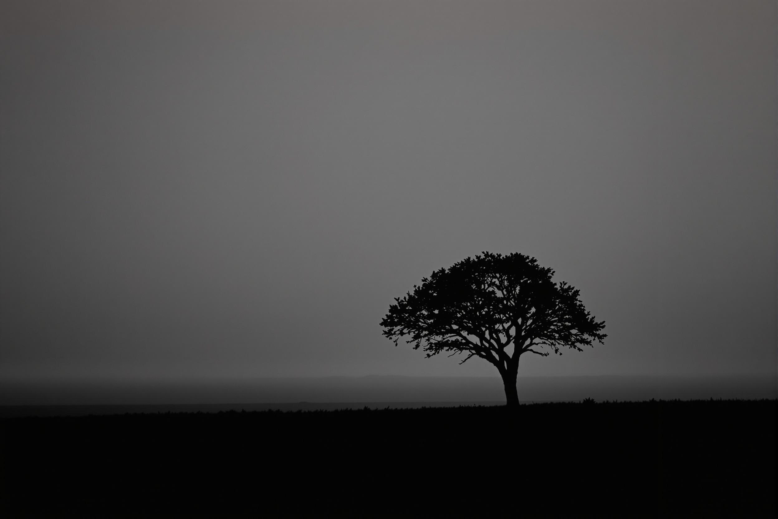 A solitary tree stands in silhouette against a misty horizon, embodying minimalist beauty. The image captures the essence of solitude and simplicity, with a monochromatic color palette emphasizing form and negative space.