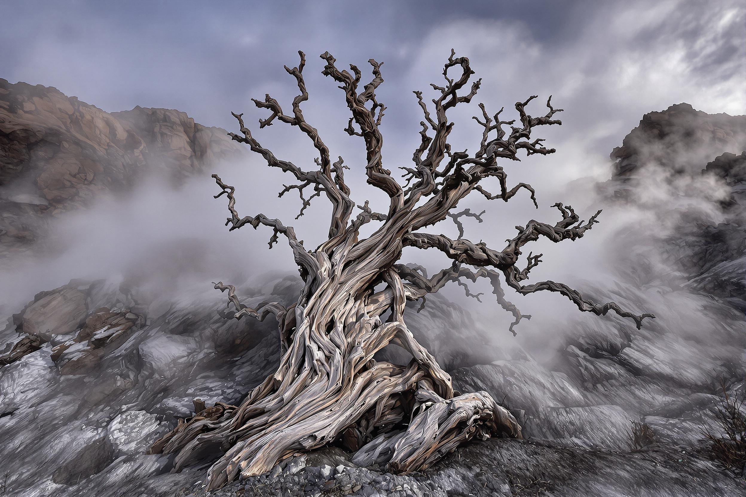 Witness the haunting beauty of a gnarled bristlecone pine, one of Earth's oldest living organisms, emerging from swirling mist at dawn. This image captures the tree's weathered branches reaching skyward, symbolizing resilience and the passage of time in a harsh alpine environment.