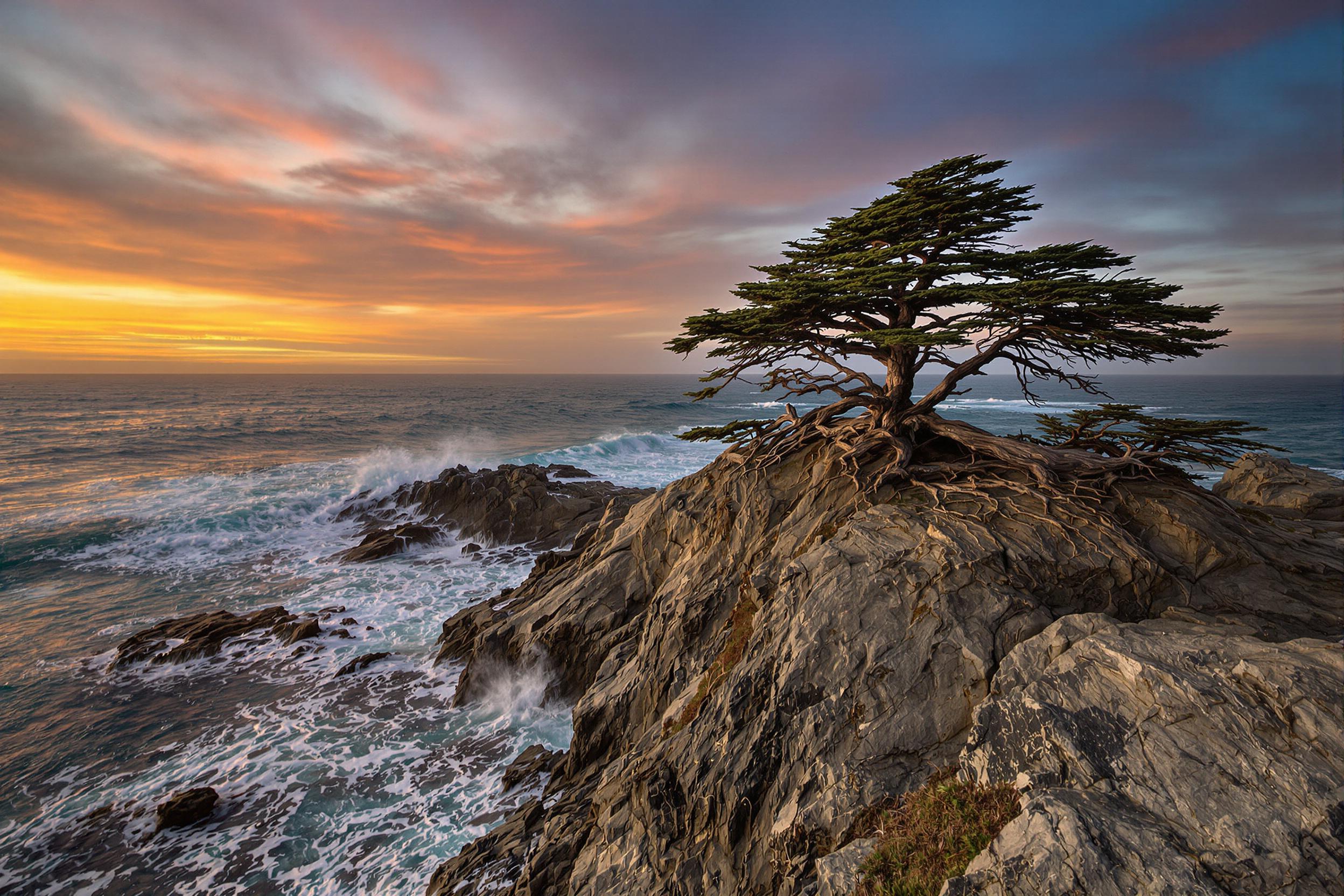 Witness the resilience of nature as a solitary cypress tree clings to a rocky outcrop along the dramatic Big Sur coastline. Windswept and weathered, this iconic sentinel stands against a backdrop of crashing waves and a vibrant sunset sky.