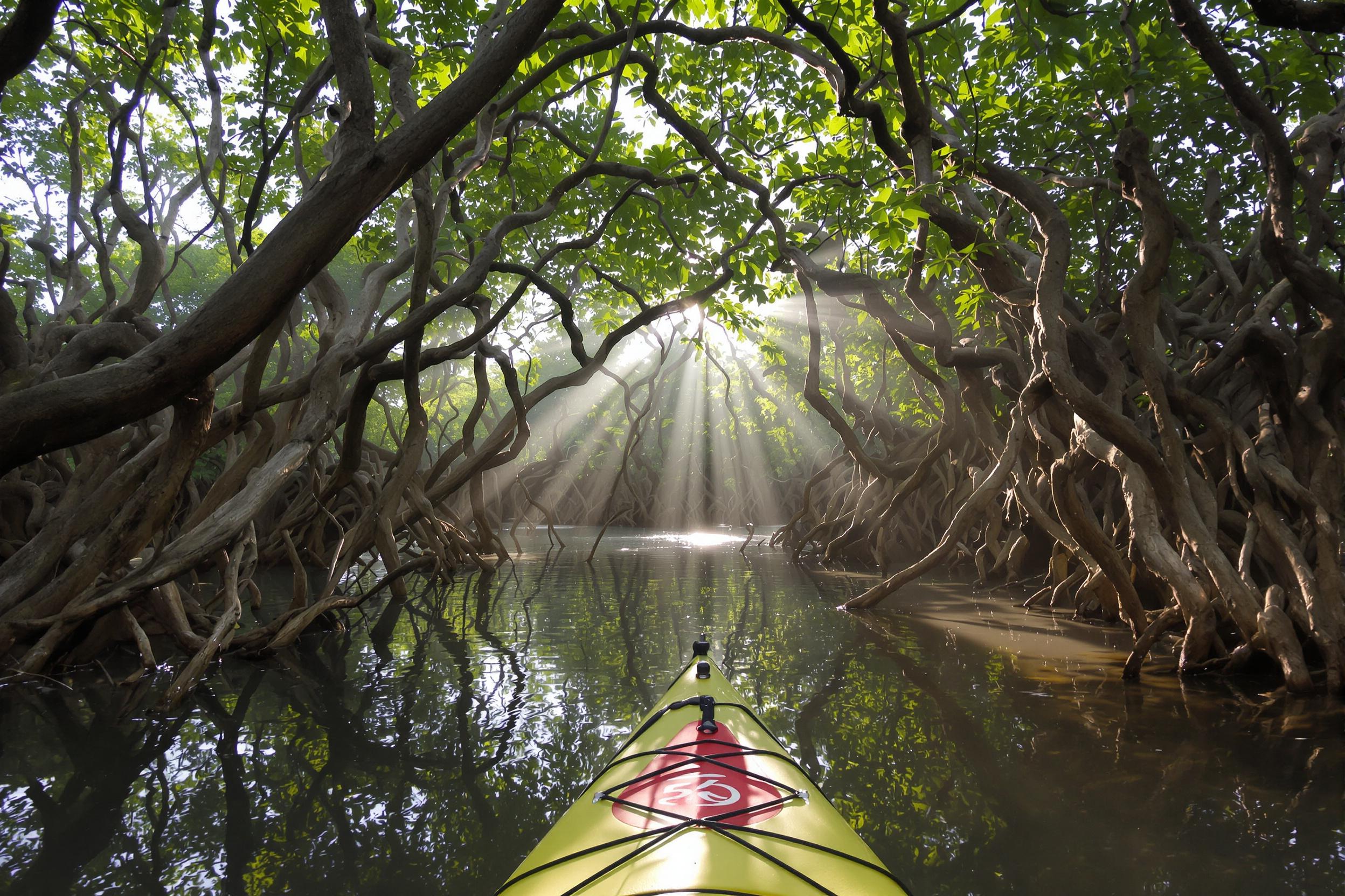 Navigate the intricate waterways of a misty mangrove forest by kayak at dawn. Twisted roots create natural archways, while filtered sunlight casts ethereal rays through the canopy. Vibrant bird calls echo in the distance, adding to the mysterious atmosphere.