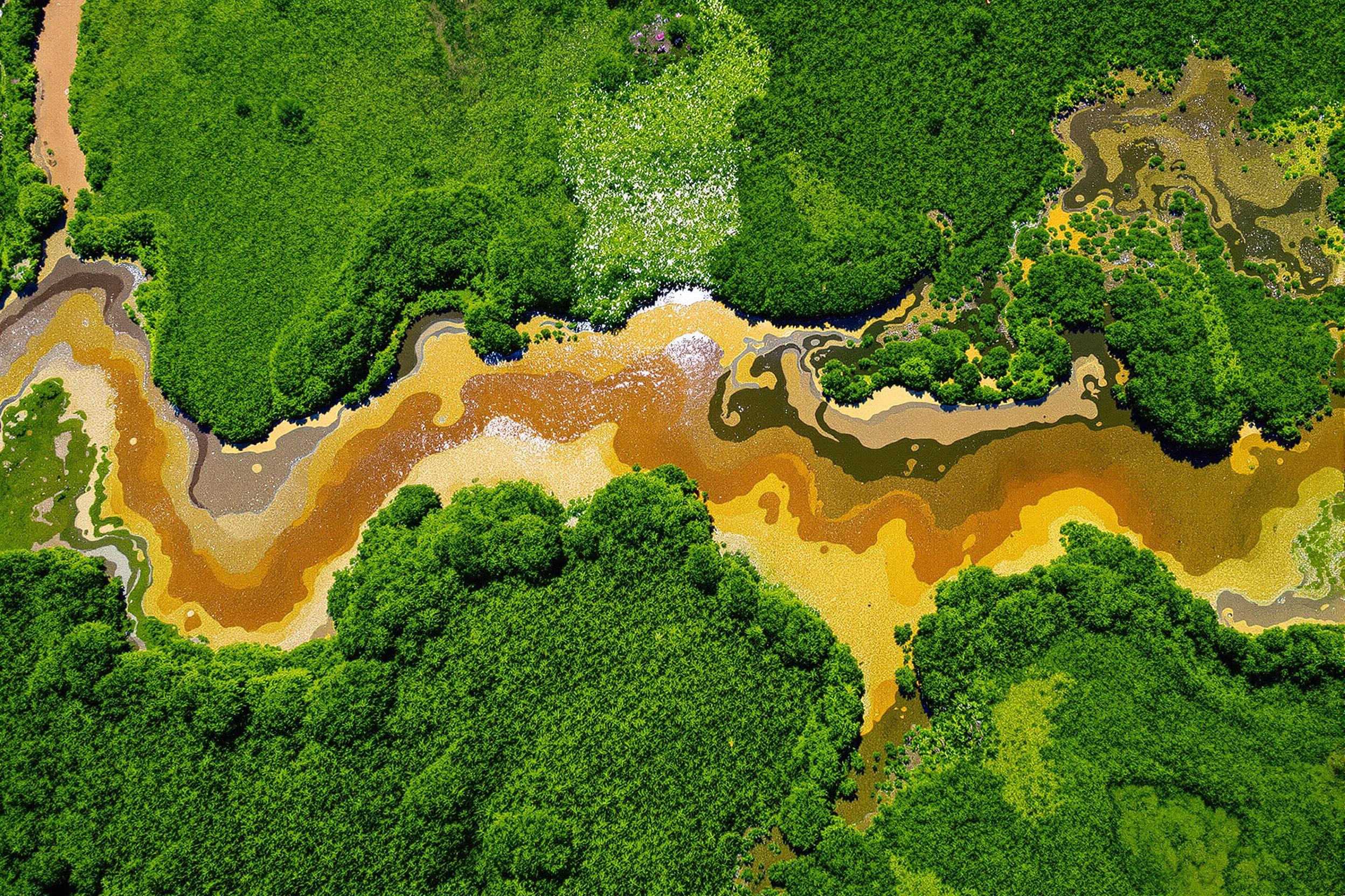 A vivid aerial view captures a meandering river cutting through a lush wetland. Multi-colored sediment patterns form intricate, organic designs as they blend into emerald green foliage. The scene is illuminated under bright midday sun, highlighting the shimmering water and emphasizing textural contrasts amidst naturally flowing contours.