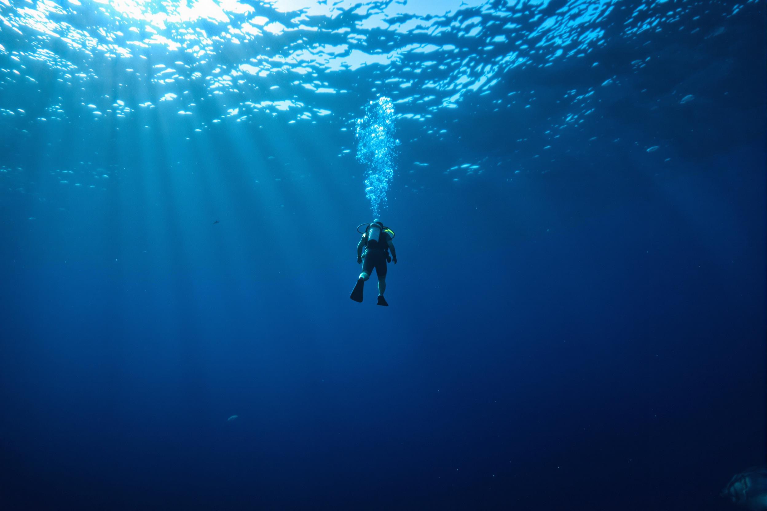 A lone scuba diver ascends towards faint sunlight filtering through rippling ocean waves. The deep blue surrounds are textured by soft particles in suspension, contrasting against the diver's streamlined silhouette. Bubbles trail upwards, providing dynamic motion as schools of fish scatter in the expansive, tranquil underwater environment.