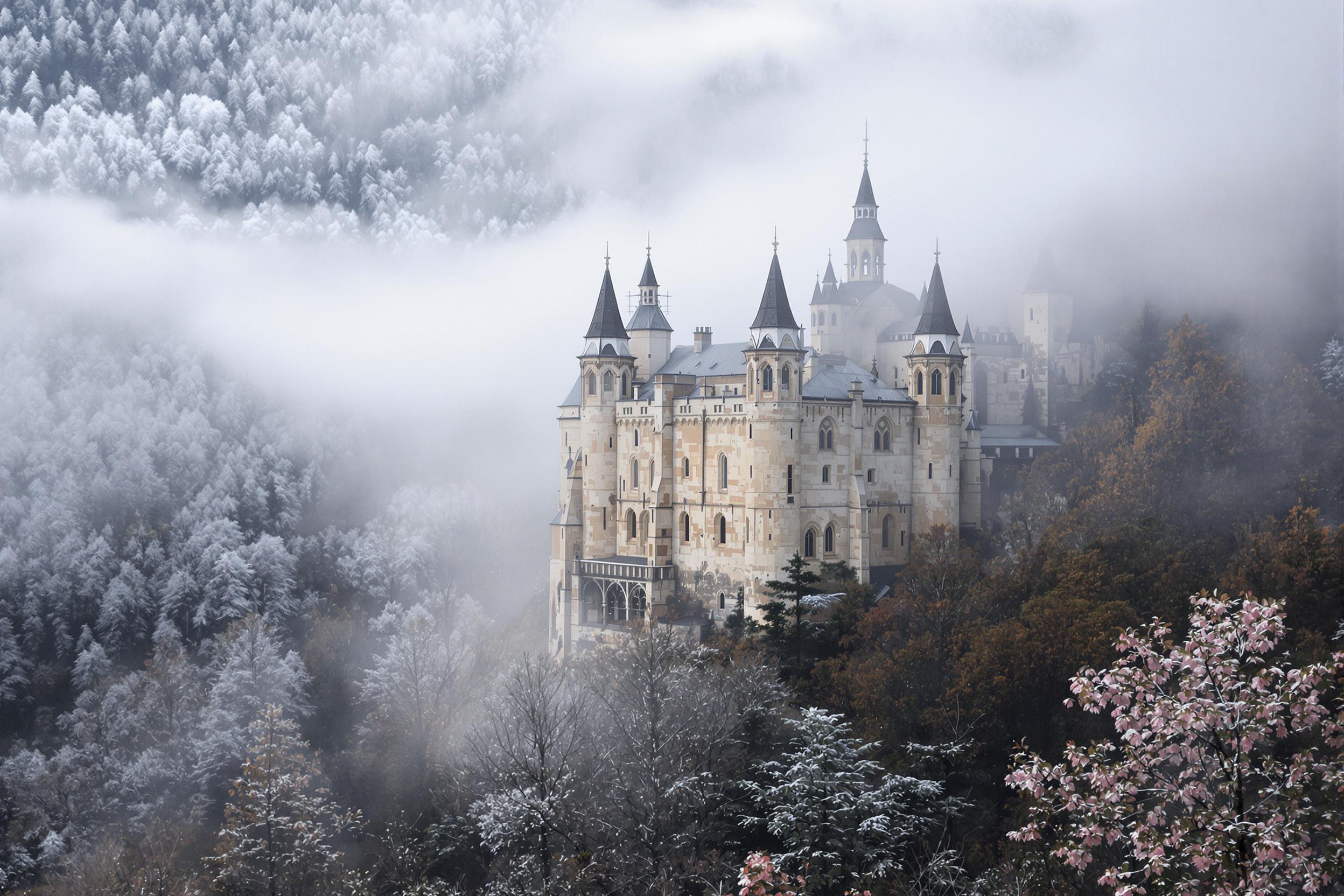 An ancient stone castle emerges through dense morning fog on a forested hillside. Gothic spires and weathered walls break the mist's veil, bathed in pale dawn light. Surrounded by rows of trees with softly muted shades, the terrain creates a serene and mysterious ambiance. The ethereal play of shadows enhances the grandeur and isolation of the fortress.