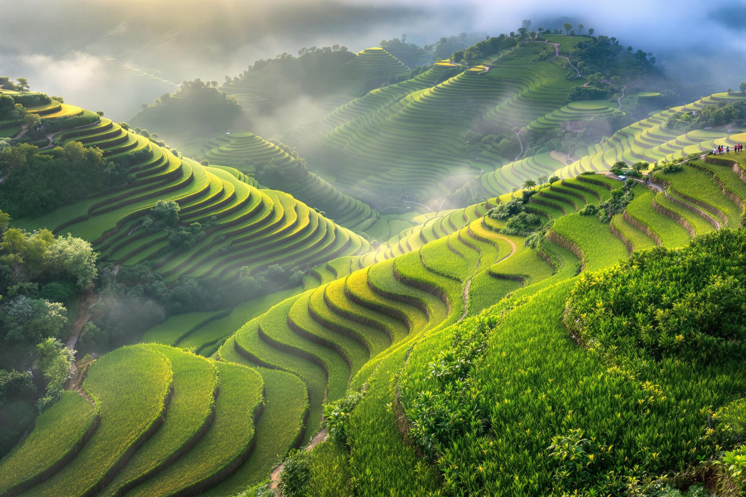 A tranquil bird’s-eye view reveals verdant terraced rice fields cascading down steep slopes under the soft glow of dawn. Mist clings gently to the hillsides, accentuating the curves of the terraces. The early sunlight filters through the fog, creating glowing highlights amidst the lush green backdrop. Tiny pathways trace through the terraces, hinting at human presence.