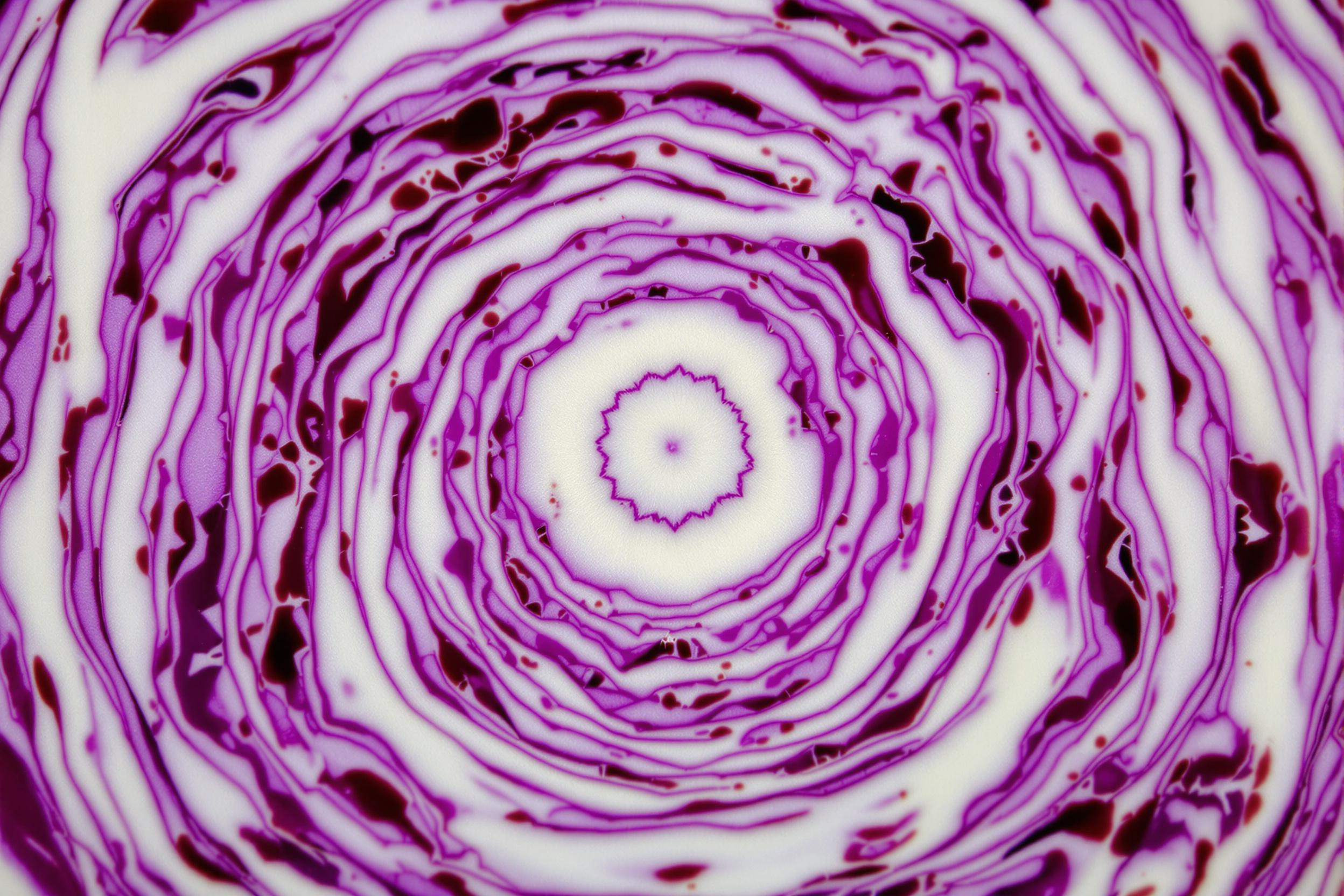 Macro photograph revealing the mesmerizing concentric circles and intricate veins within a cross-section of red cabbage. Vibrant purple hues transition to crisp white, creating a natural mandala-like pattern that showcases nature's hidden geometry.