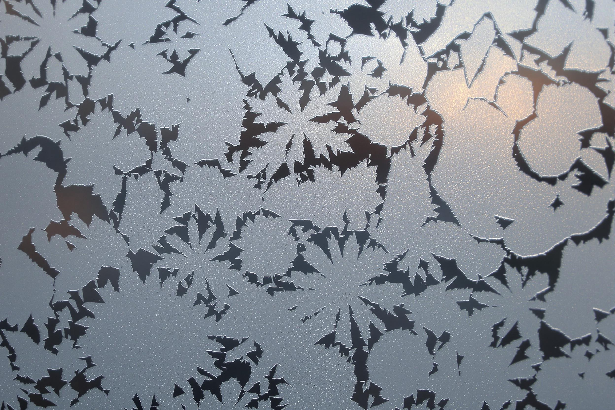 Delicate ice crystals form intricate frost patterns on a window pane, creating a natural mosaic of geometric shapes. Soft morning light illuminates the translucent designs, showcasing nature's artistry in cold climates.