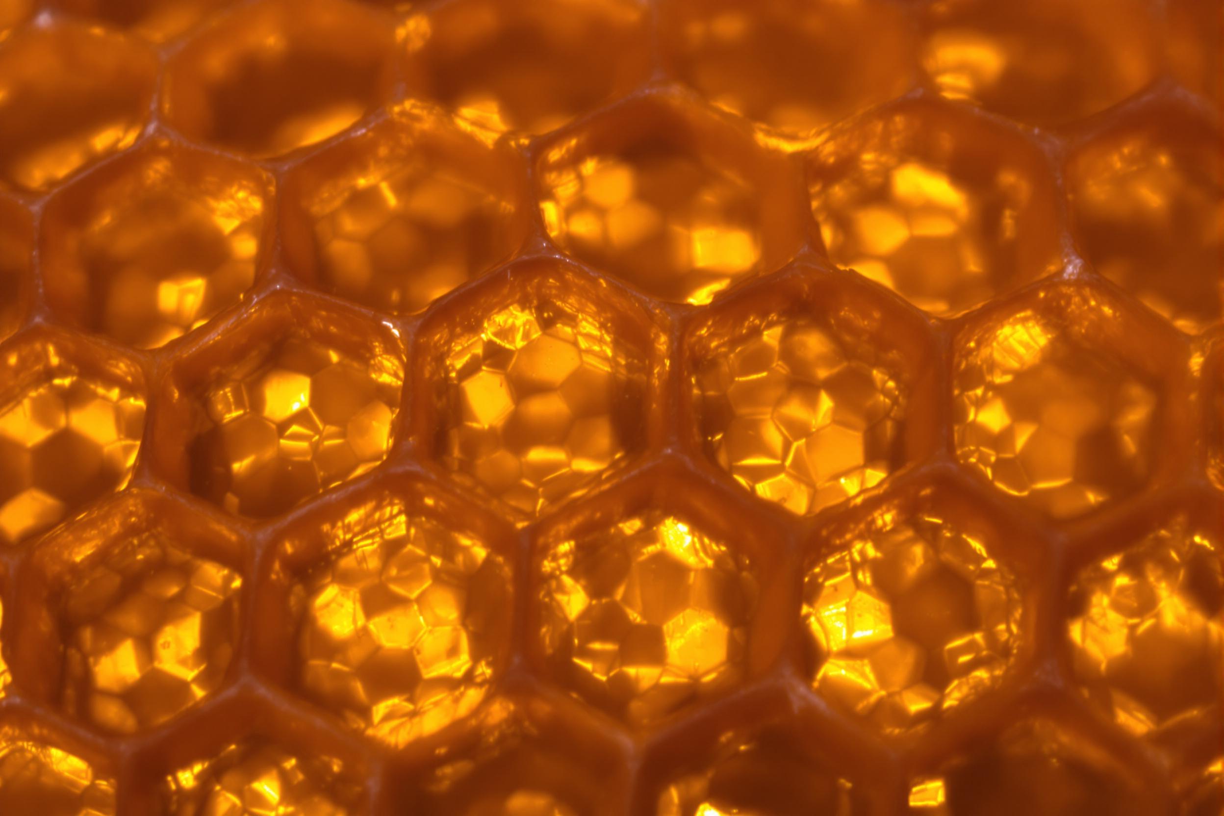 Macro photograph revealing the mesmerizing hexagonal pattern of a honeycomb. Golden honey glistens within each cell, showcasing nature's perfect geometry. Soft, warm lighting accentuates the intricate texture and rich amber hues.