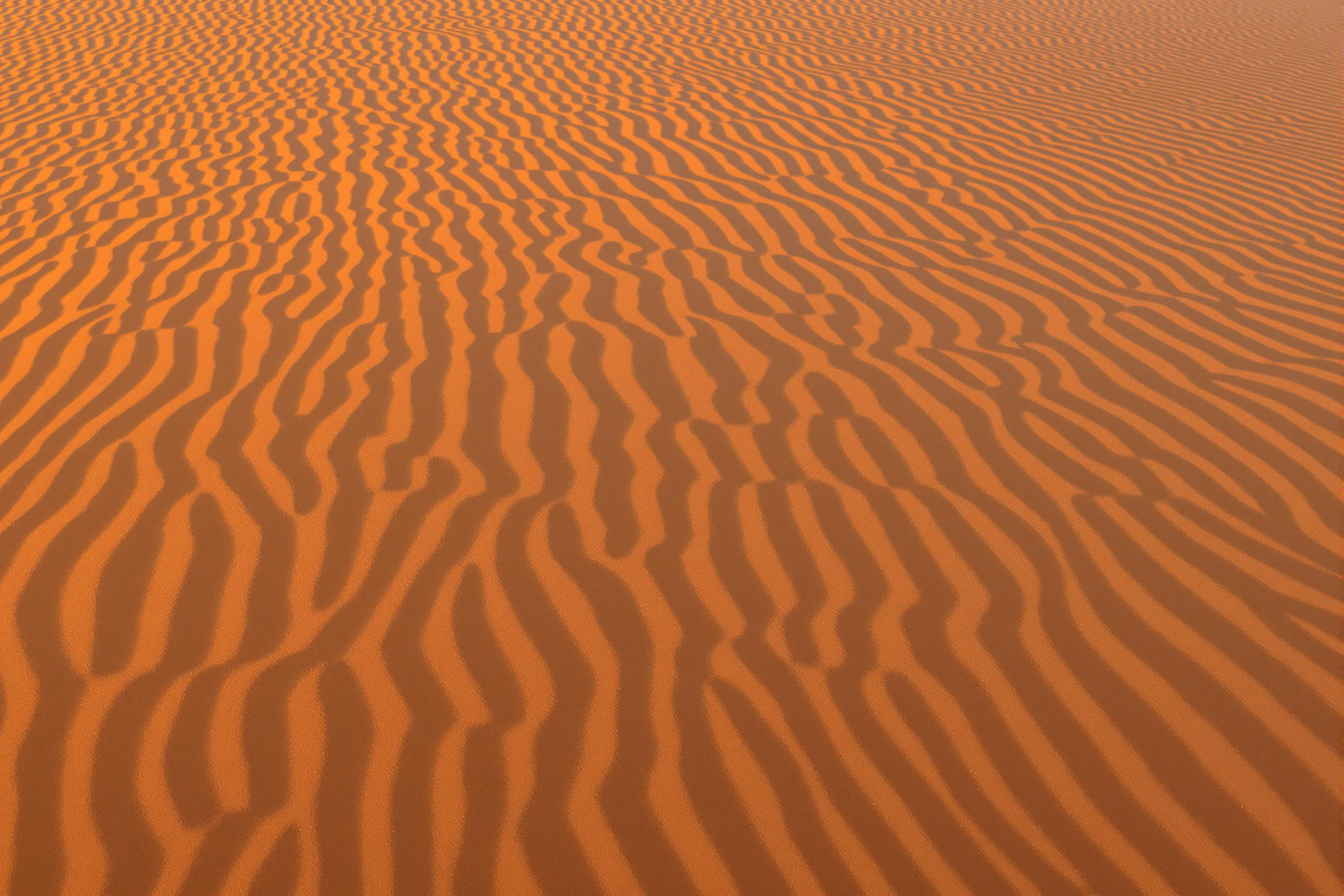 Mesmerizing patterns of wind-sculpted sand dunes captured during golden hour. Warm, amber light accentuates the intricate ripples and ridges, creating a captivating interplay of light and shadow across the desert landscape.