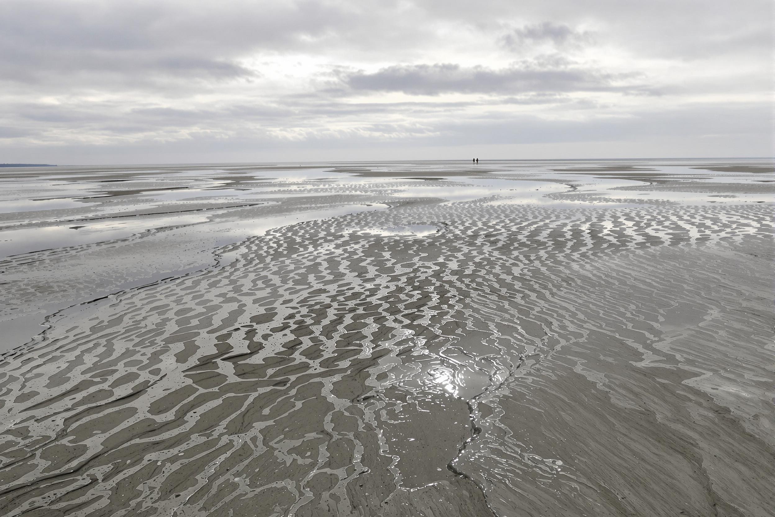 An expansive tidal mudflat unfolds after the tide recedes, revealing glistening layers of grayish-brown silt under an overcast sky. The muted palette captures delicate reflections of soft clouds above, creating an ethereal mirror effect. Textures of wet sand form subtle grooves, blending seamlessly with shallow puddles that stretch towards the horizon.