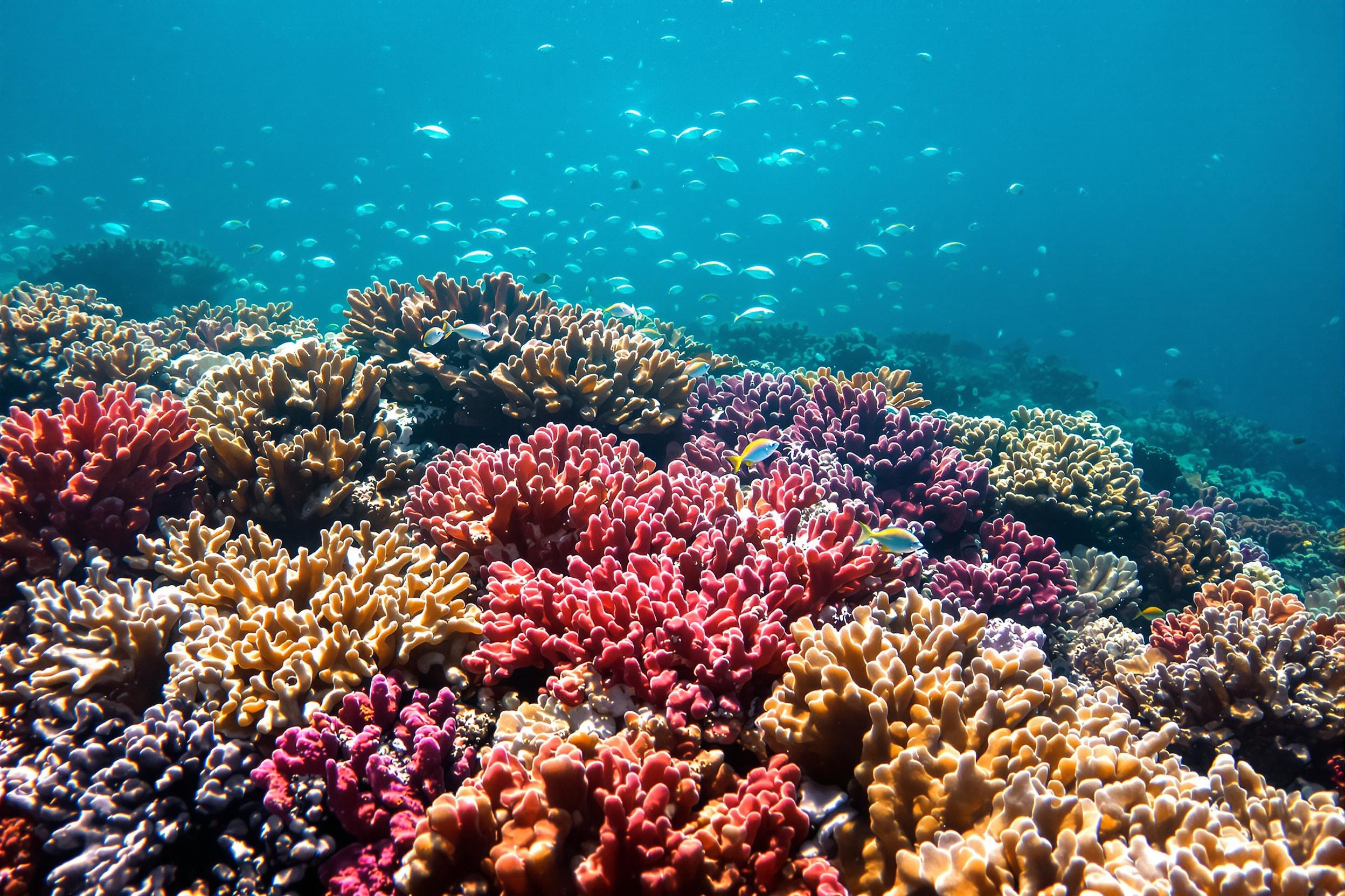 A vibrant coral reef bursts with life beneath crystal-clear tropical waters. Vivid red, orange, and purple corals form intricate clusters, while schools of iridescent fish dart through shafts of sunlight that dapple the ocean floor. Textured coral contrasts with smooth fish silhouettes, framed by an ethereal turquoise backdrop.