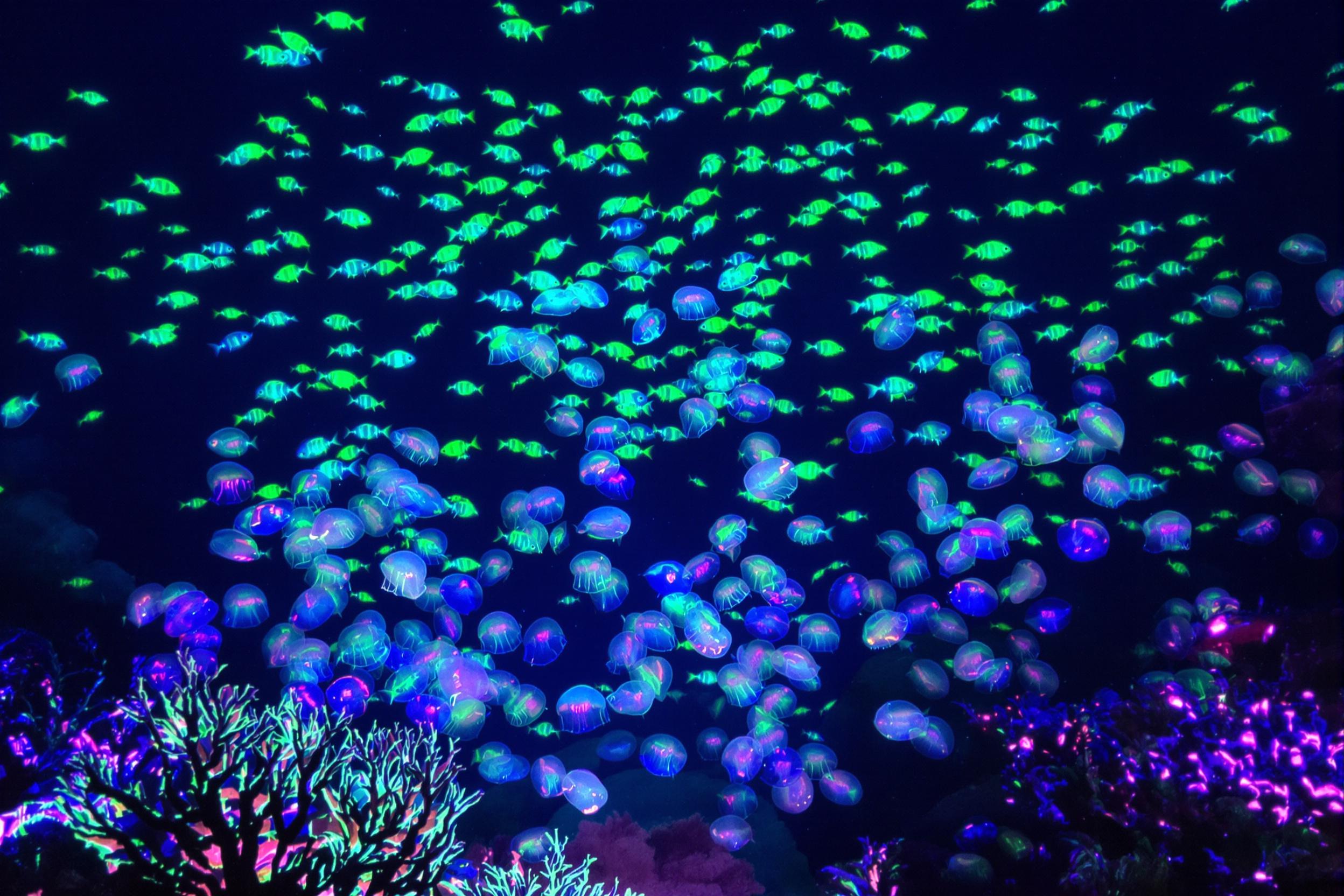 A stunning underwater world shrouded in deep blue unfolds, where bioluminescent marine life illuminates the darkness. Brilliant jellyfish glow in radiant purples and greens, while shimmering schools of translucent fish weave a dynamic web of motion. Coral outcroppings emit subtle fluorescents, creating an ethereal, almost alien landscape bathed in soft glows.