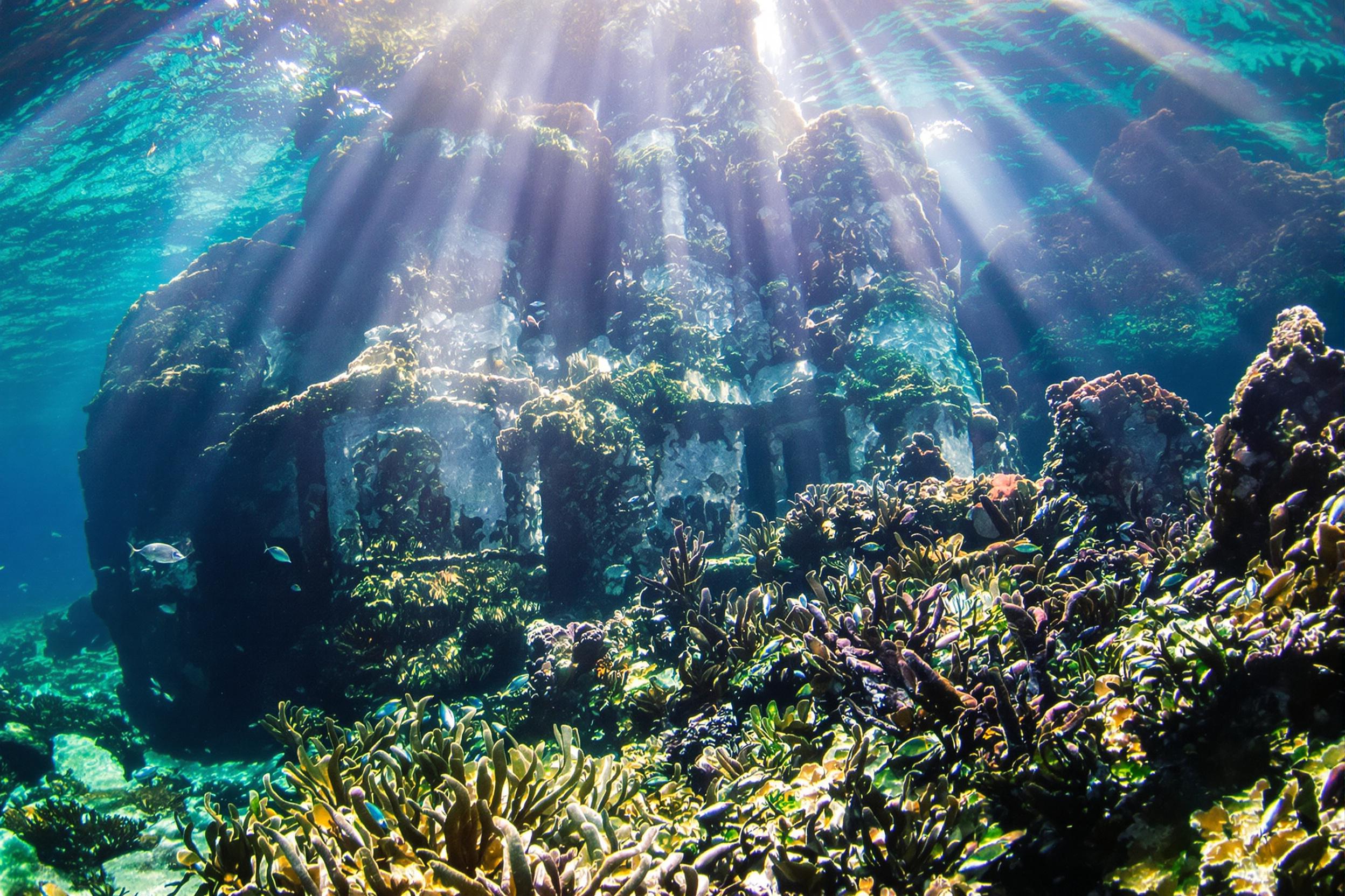 Under crystal-clear tropical waters, ancient stone ruins lie adorned with colorful coral formations and swaying seaweed. Sunbeams filter through, casting dynamic light streaks that illuminate intricate carvings on the weathered rocks. Shoals of fish swim among the structures, adding vivid motion to this tranquil aquatic scene.