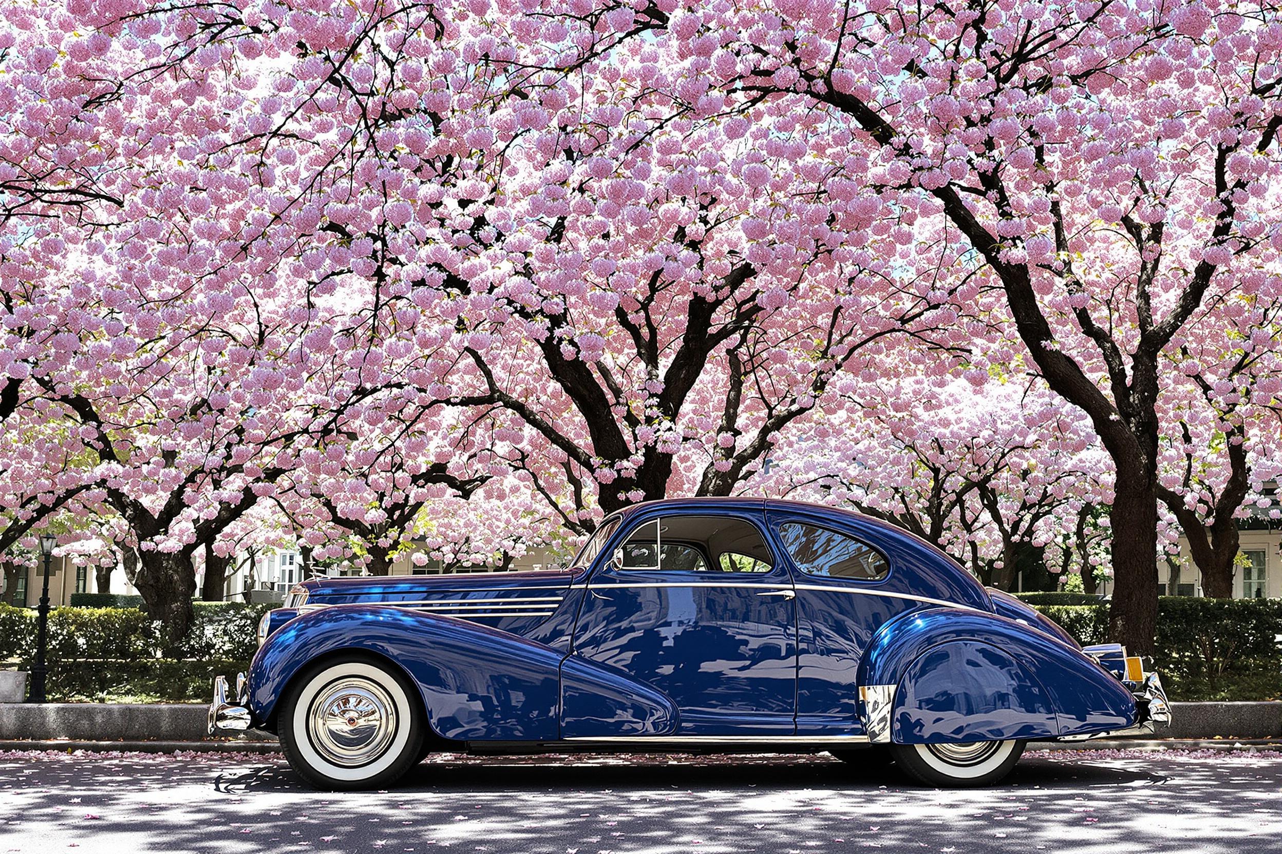 A stunning vintage car, painted in a glossy shade of deep blue, is parked gracefully beneath a magnificent canopy of blossoming cherry trees. Delicate pink flowers cascade above, softly filtering the midday sun and creating dappled shadows that dance across the car's polished surface. The serene urban backdrop enhances the nostalgic charm, drawing the eye along a carpet of fallen petals.