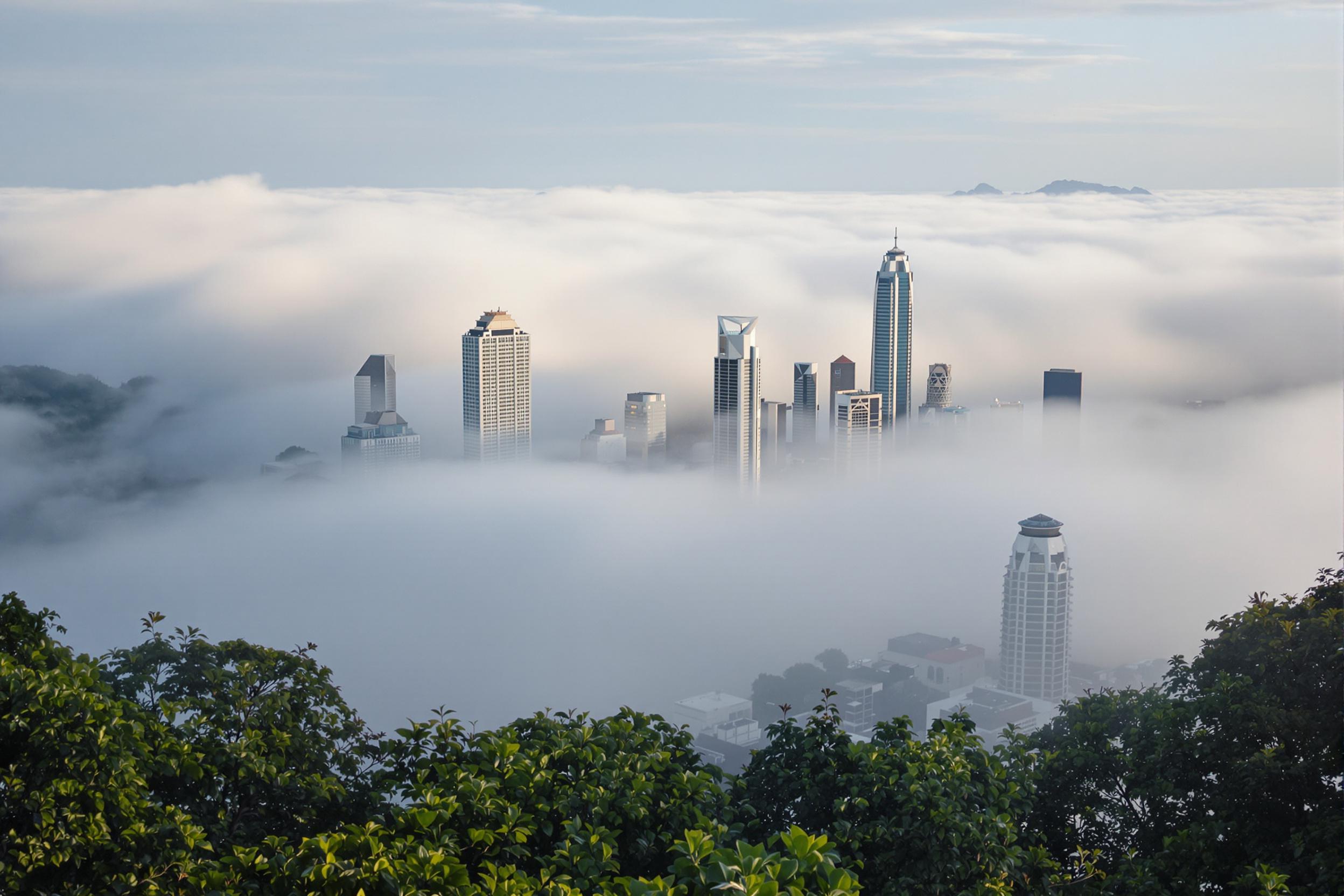 Witness the mesmerizing interplay of nature and architecture as a blanket of ethereal fog envelops a modern cityscape. This captivating wallpaper showcases towering skyscrapers emerging from a sea of mist, creating a dreamlike urban landscape.