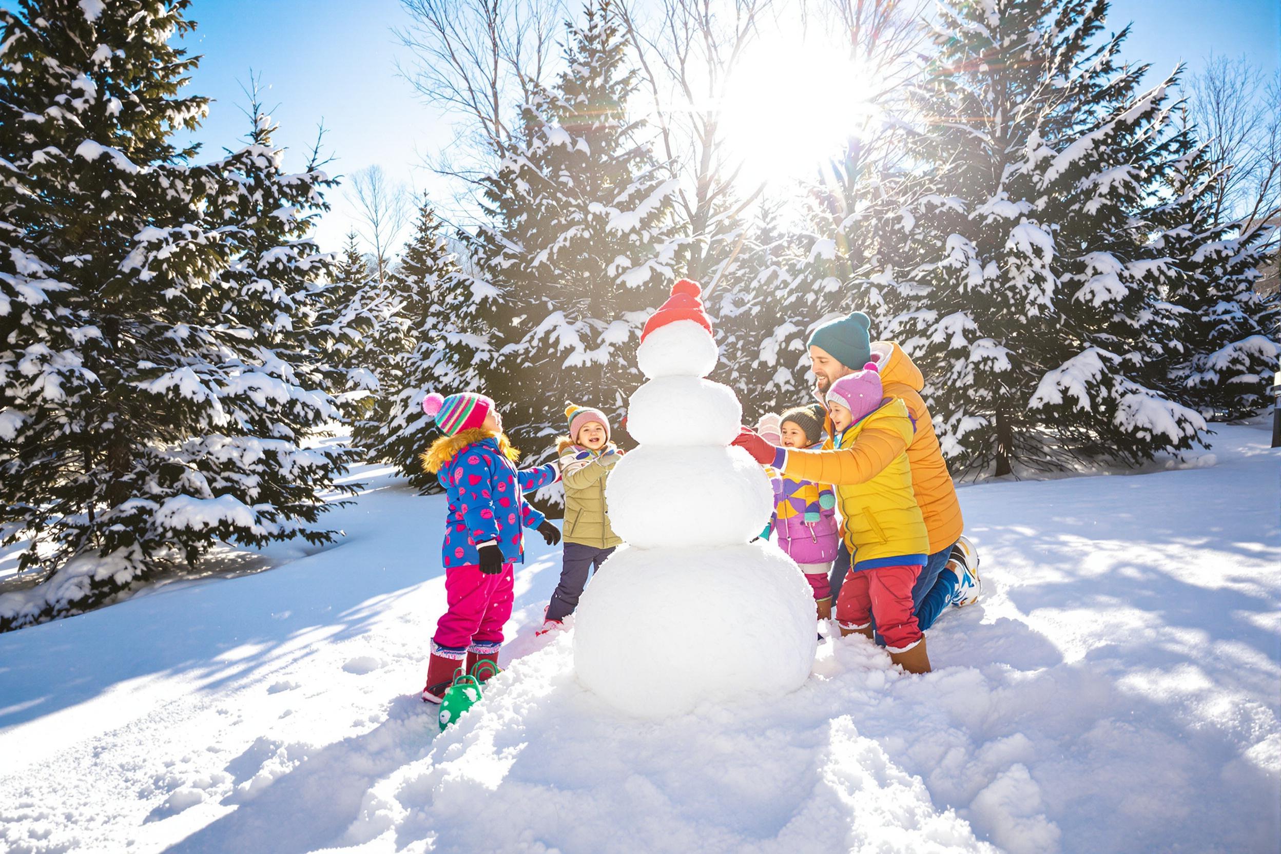 A cozy winter scene reveals a cheerful family gathered in their snow-covered backyard, building a snowman. The bright midday sun illuminates the glistening snow, casting playful shadows. Children in colorful winter attire stack snowballs while parents assist joyfully. Surrounding evergreen trees frame the scene, adding warmth amidst the chill.