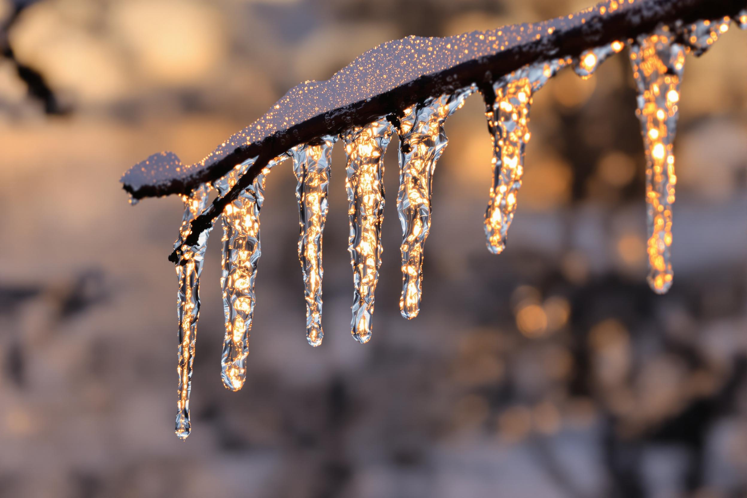 Icicles hang delicately from a barren tree branch, shimmering under the soft golden glow of sunset. The translucent ice reveals intricate trapped air bubbles, while curves reflect warm amber hues against a muted winter sky. Sharp textures frame occasional bokeh highlights in the blurred background, evoking a serene, frosty composition.